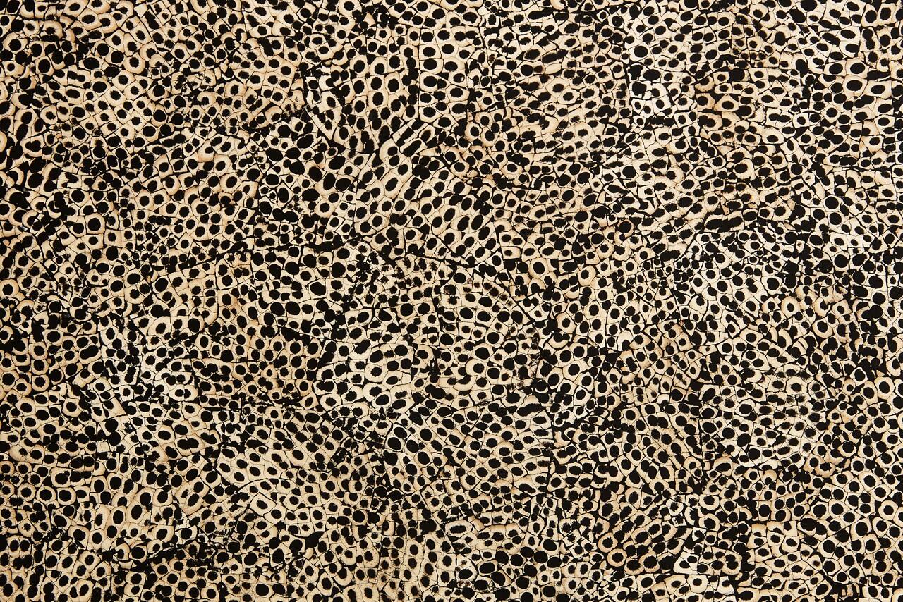 Eggshell Snakeskin Black