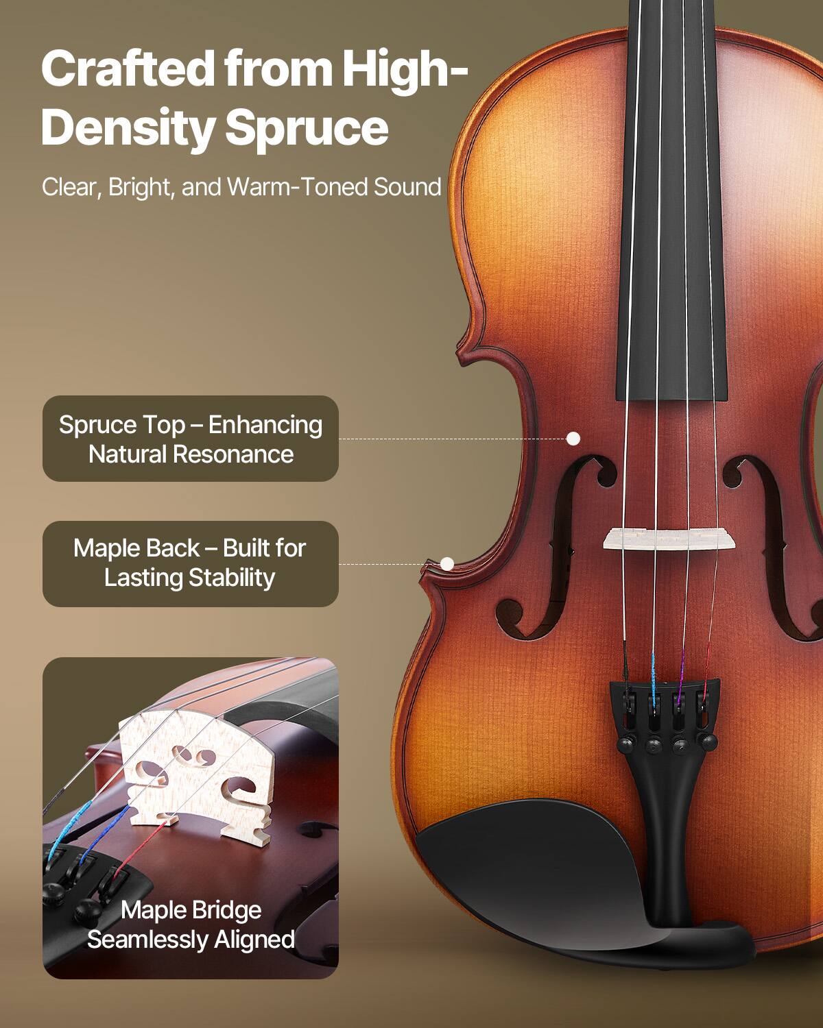 Crafted from High-Density Spruce  
Clear, Bright, and Warm-Toned Sound  

Spruce Top – Enhancing Natural Resonance  

Maple Back – Built for Lasting Stability  

Maple Bridge Seamlessly Aligned