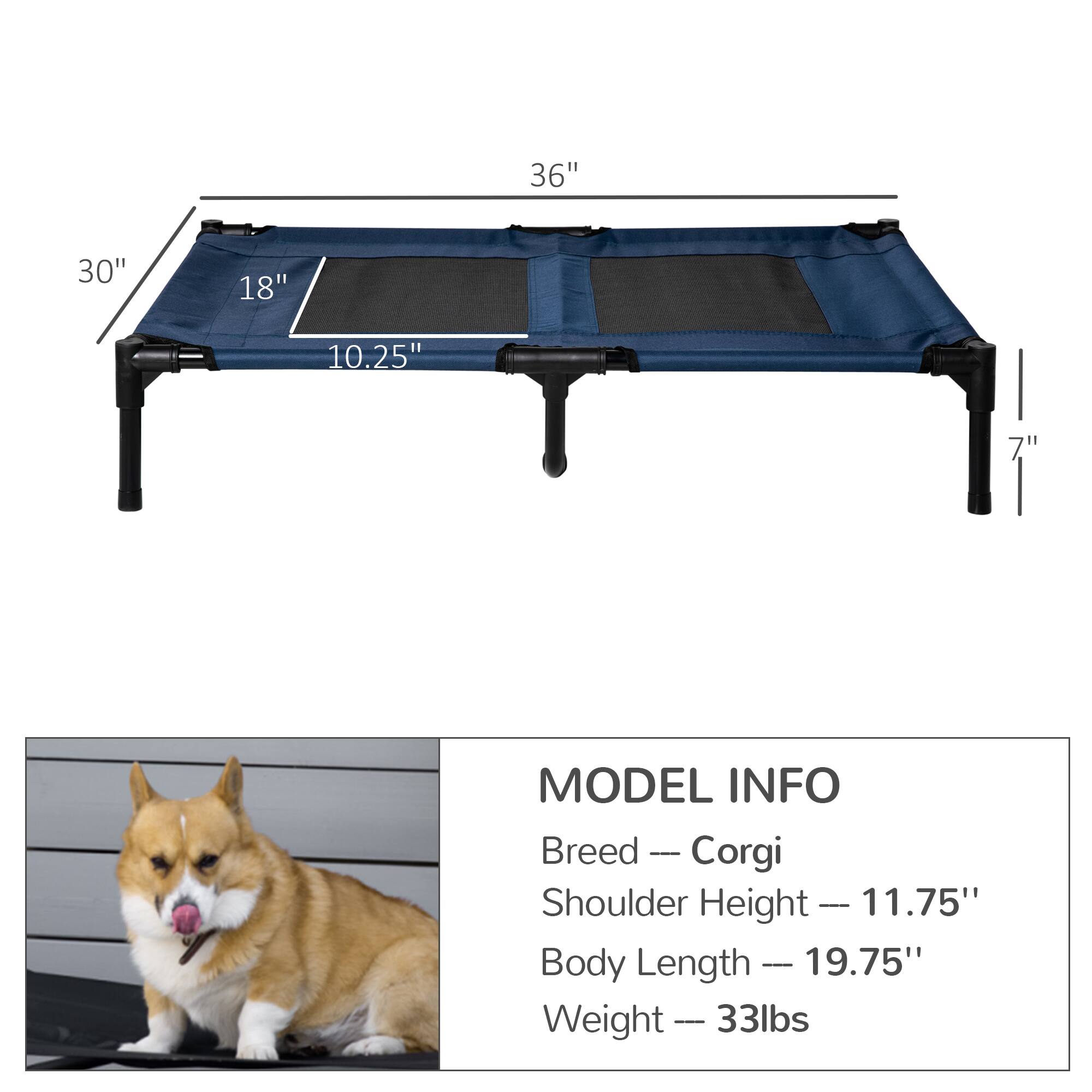 36"  
30"  
18"  
10.25"  
7"  

MODEL INFO  
Breed — Corgi  
Shoulder Height — 11.75"  
Body Length — 19.75"  
Weight — 33lbs