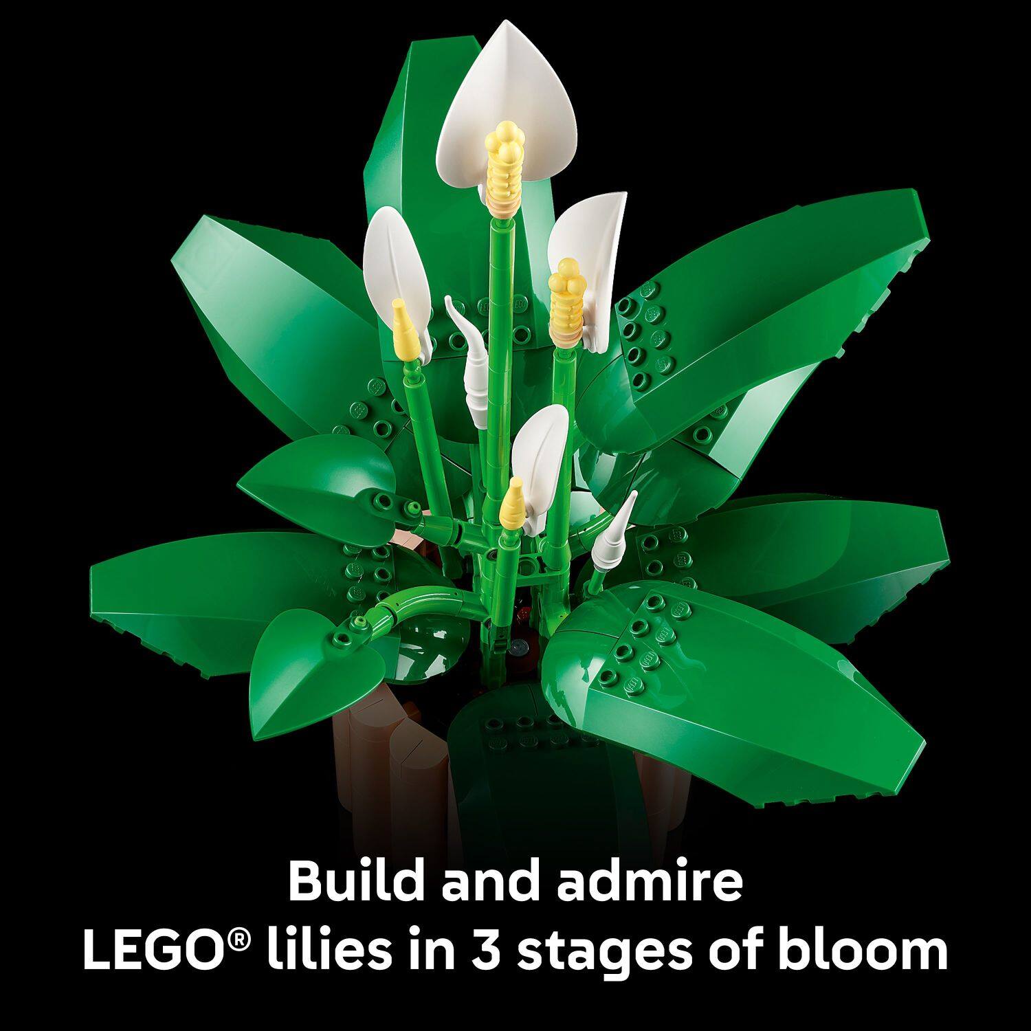 Build and admire LEGO® lilies in 3 stages of bloom