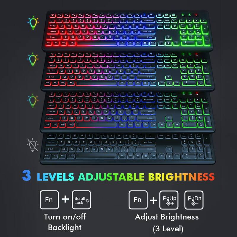 3 LEVELS ADJUSTABLE BRIGHTNESS

Fn + Scroll Lock  
Turn on/off Backlight

Fn + PgUp / PgDn  
Adjust Brightness (3 Level)