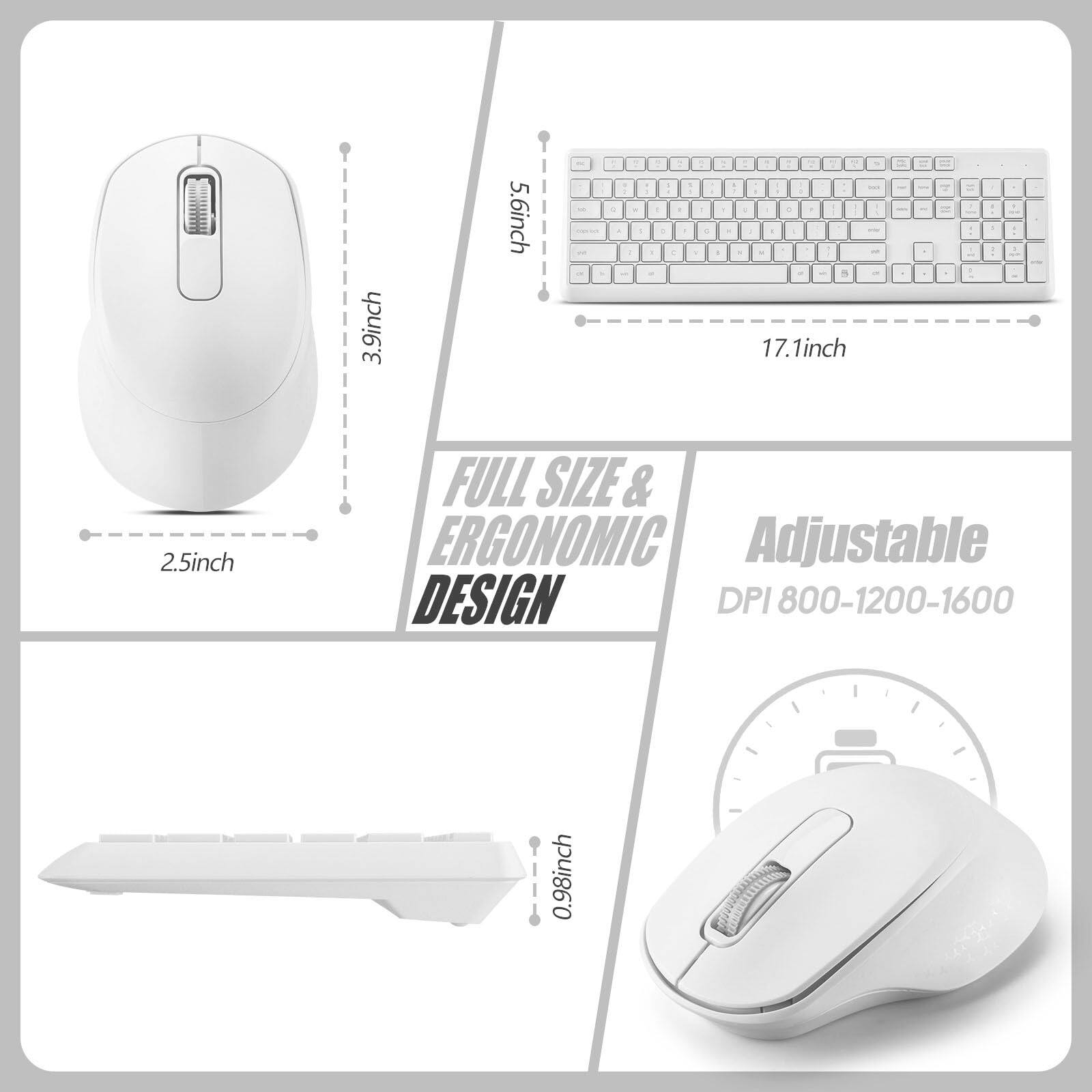 3.9 inch  
5.6 inch  
2.5 inch  
17.1 inch  
0.98 inch  

FULL SIZE & ERGONOMIC DESIGN  
Adjustable DPI 800-1200-1600