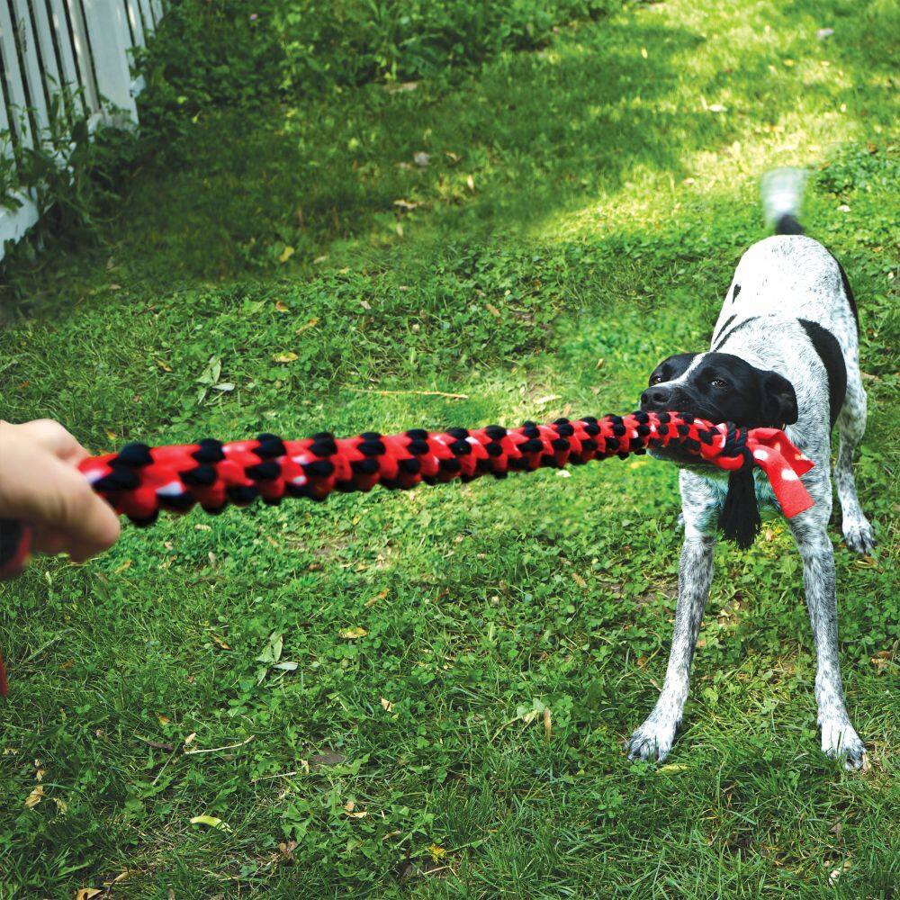 Left. KONG - Kong Signature Rope Double Tug Dog Toy in Single - Multicolored.