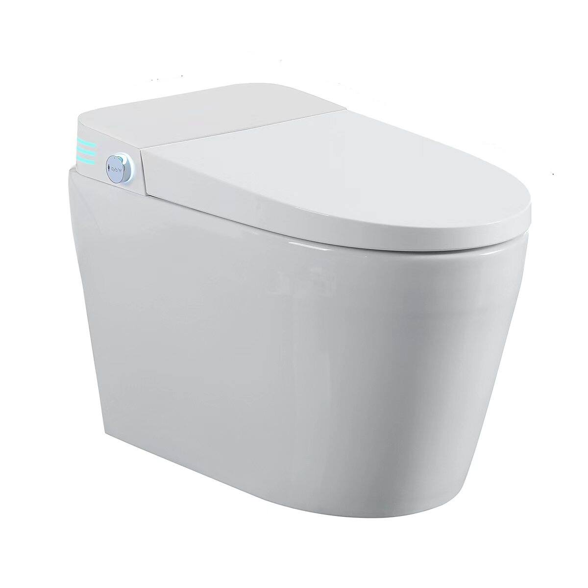 Loheer Tankless Smart Bidet Toilet One Piece Ceramic Heated Seat with ...