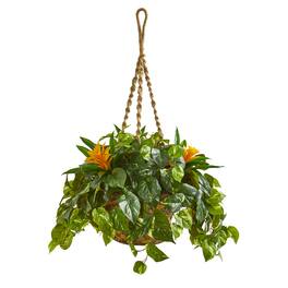 BreeBe - 31" Bromeliad & Pothos Artificial Plant in Hanging Basket - Green