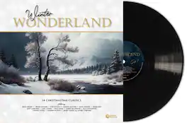 Various Artists - Winter Wonderland / Various - VINYL LP