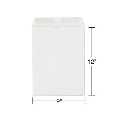 Staples Gummed Kraft Catalog Envelopes, 9
