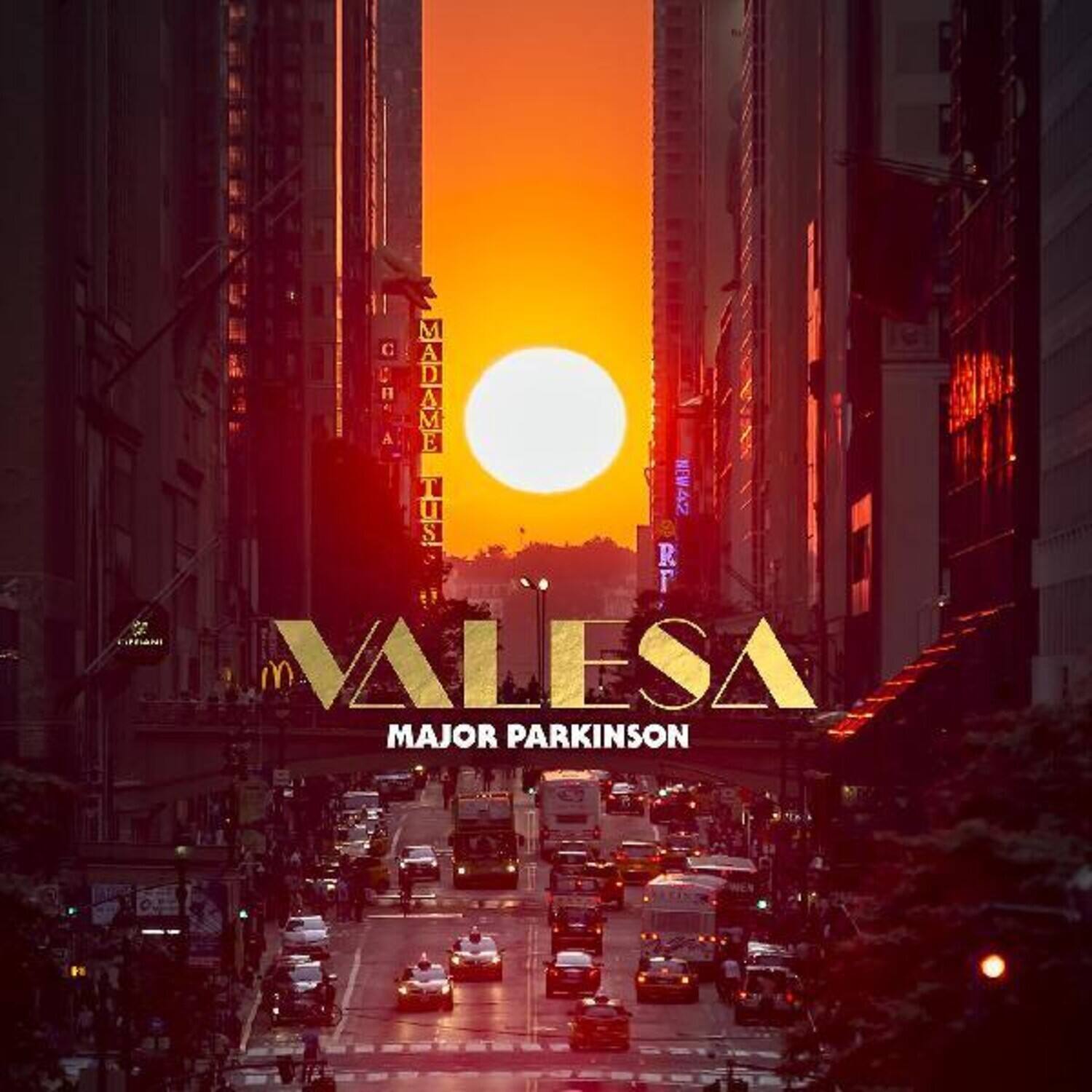 Major Parkinson - Valesa   - COMPACT DISCS [CD] price history on PriceWatchPro
