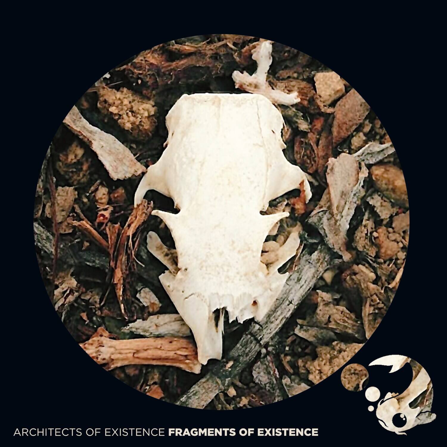 ARCHITECTS OF EXISTENCE  
FRAGMENTS OF EXISTENCE