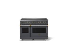 Viking - 48 in. Wide 6 Elements Pro 5 Series 7.3 Cu.Ft. Freestanding 6 Element Induction Convection Range with Brushed Brass Trim - Cast Black