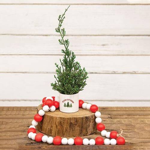 Angle. BreeBe - Mini Cypress Tree in "Fresh Cut Trees" Pot - Green, White.