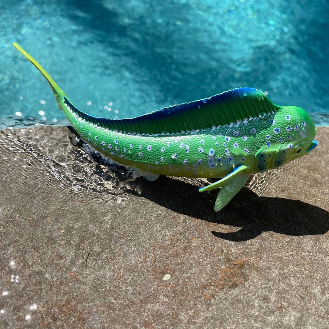 Alt View 2. Safari Ltd. - Mahi-Mahi (Dolphin Fish) Toy Figurine.
