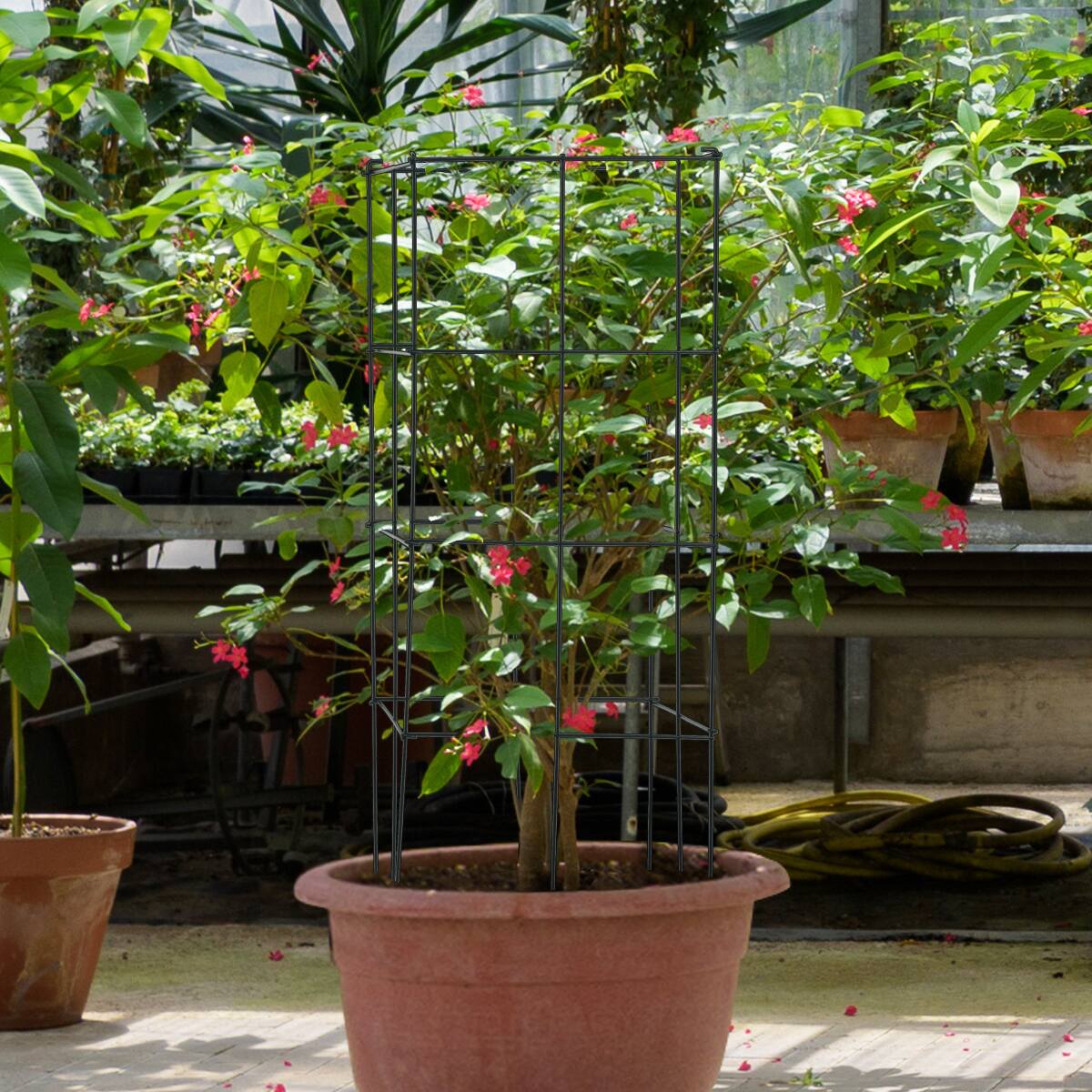 Alt View 8. Gymax - Gymax 8 Pack Tomato Cages Garden Cages Stakes Plant Trellis 16'' x 16'' x 39'' - Dark Green.