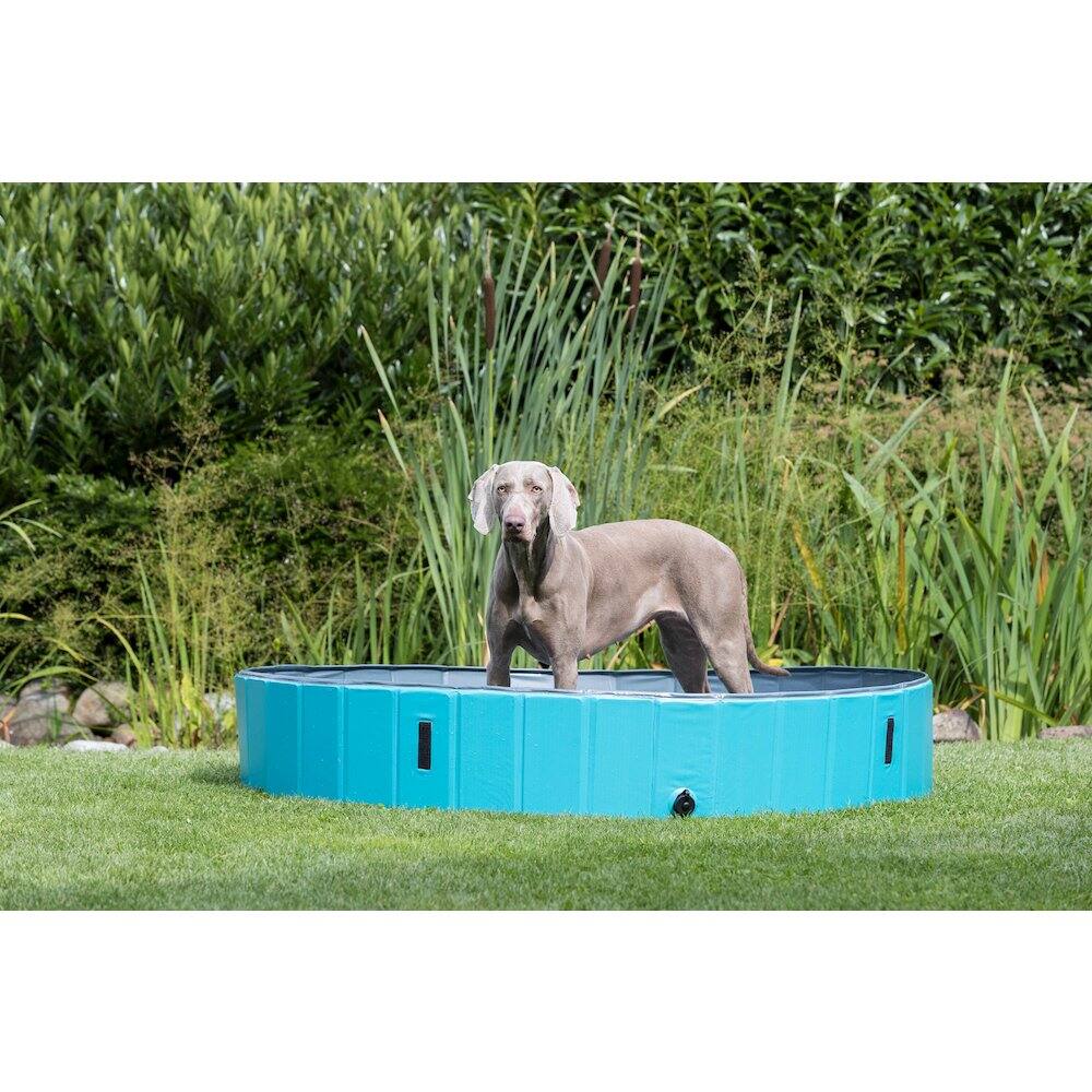 Angle. TRIXIE - Outdoor Splash Pool for Dogs, Foldable Playpen, Bathtub - Blue.