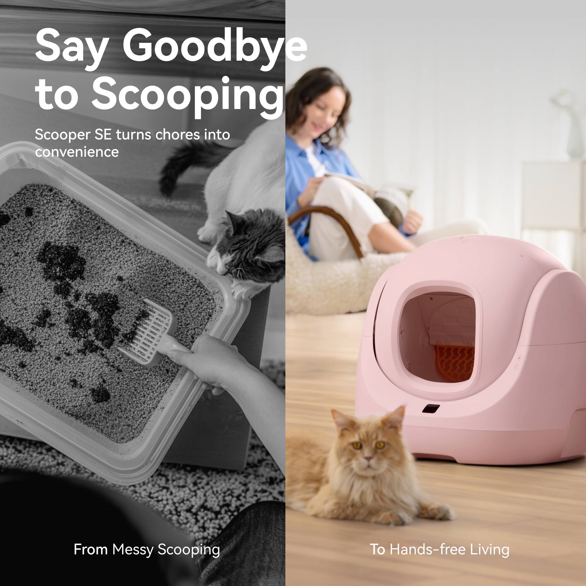 Say Goodbye to Scooping

Scooper SE turns chores into convenience

From Messy Scooping

To Hands-free Living