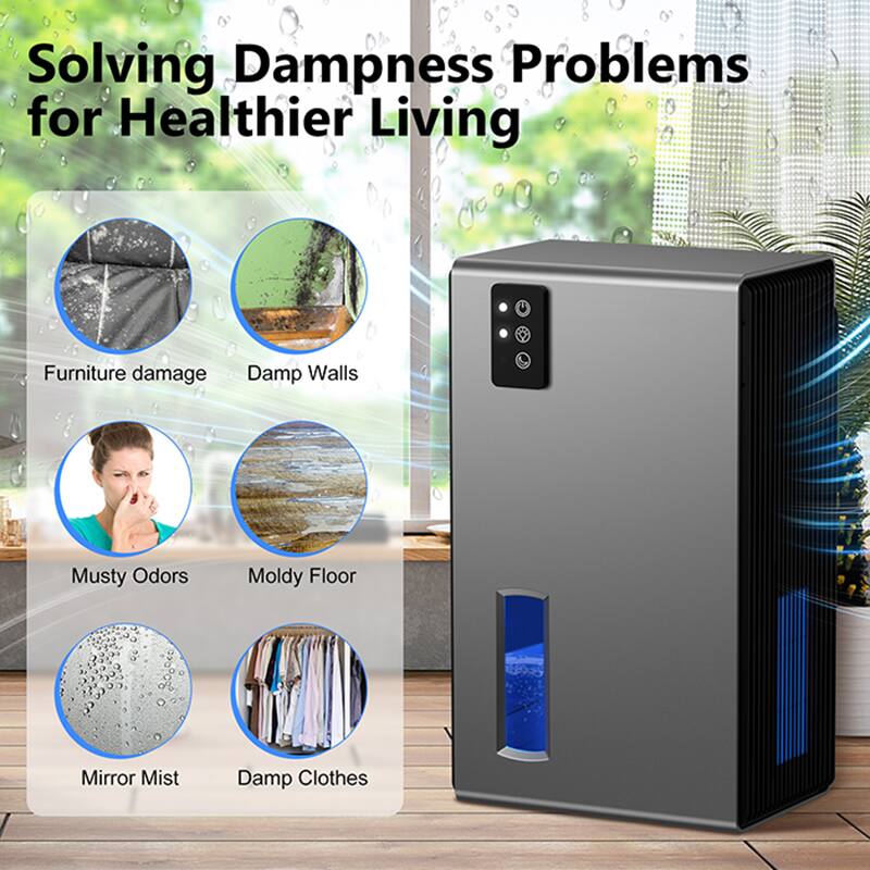Solving Dampness Problems for Healthier Living

- Furniture damage
- Damp Walls
- Musty Odors
- Moldy Floor
- Mirror Mist
- Damp Clothes