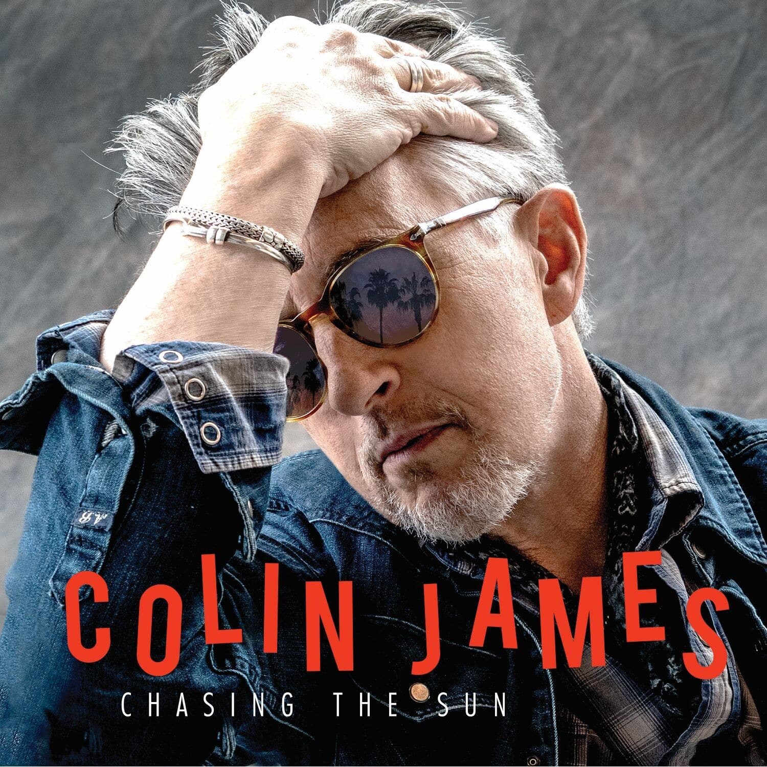 Colin James - Chasing the Sun   - COMPACT DISCS [CD] price history on PriceWatchPro