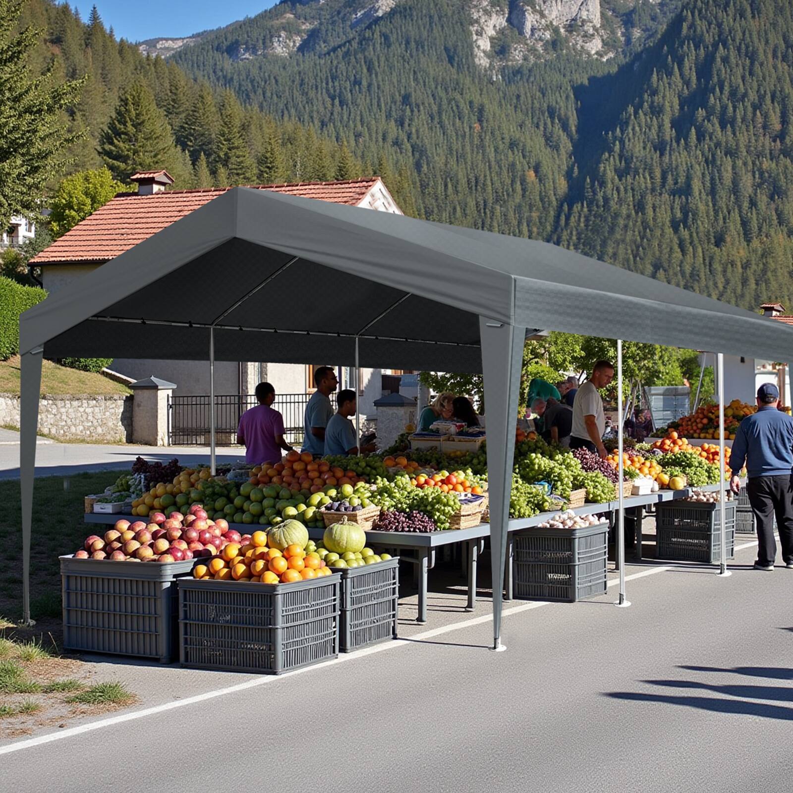 Left. Winado - 10x20 Heavy Duty Carport with Galvanized Steel Frame, Portable Garage with 2 Roll-up Windows & Doors, Removable Sidewall.