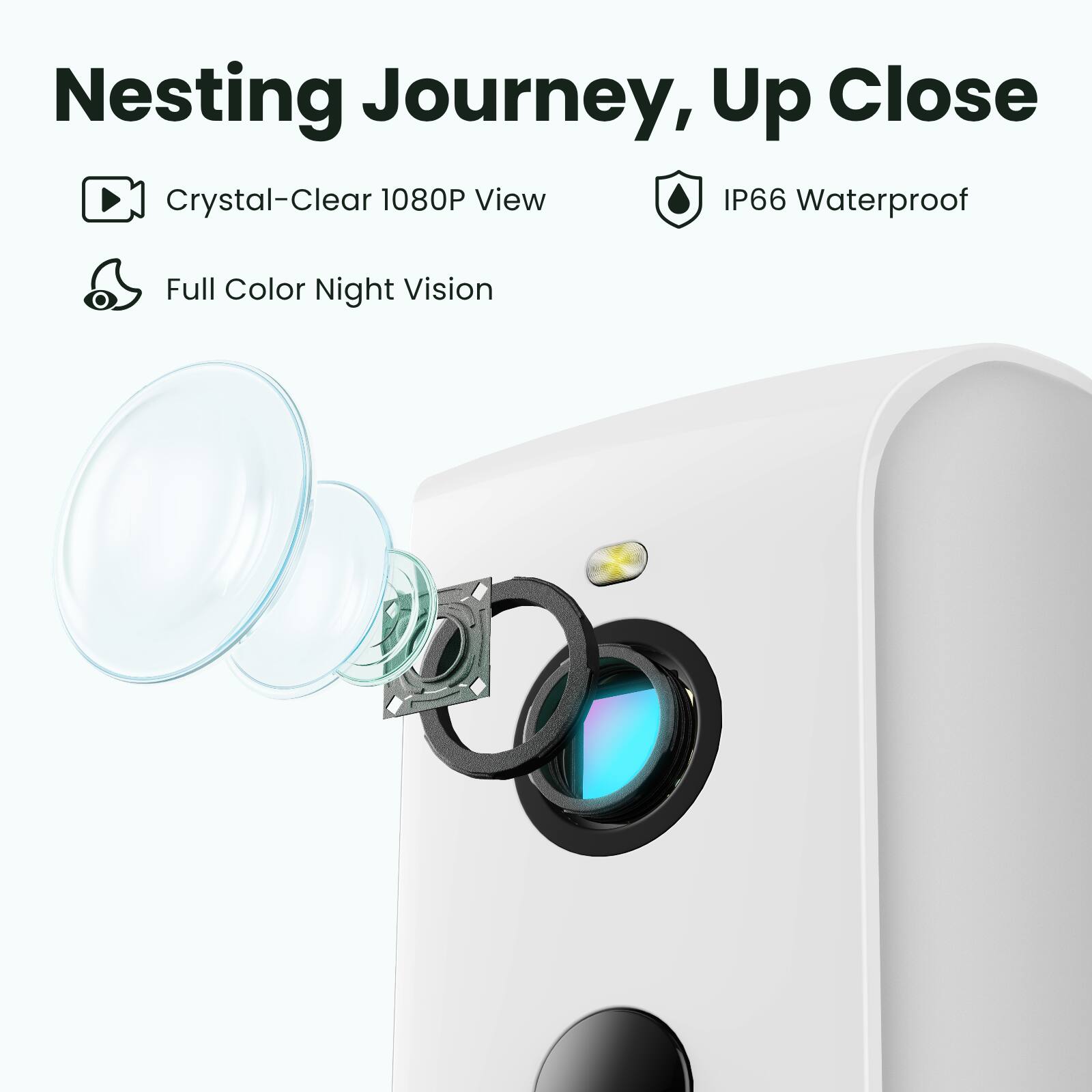 Nesting Journey, Up Close

- Crystal-Clear 1080P View
- IP66 Waterproof
- Full Color Night Vision