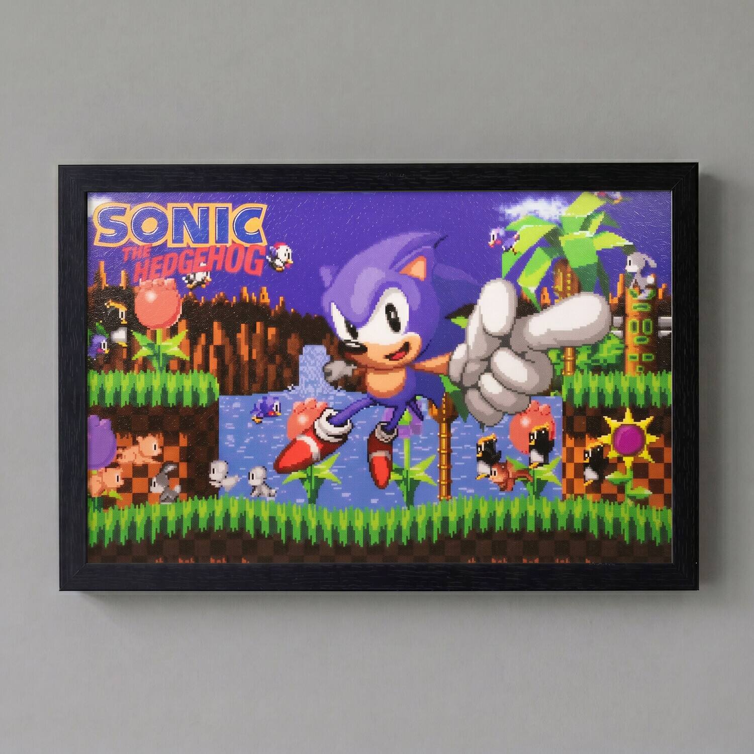 SONIC THE HEDGEHOG