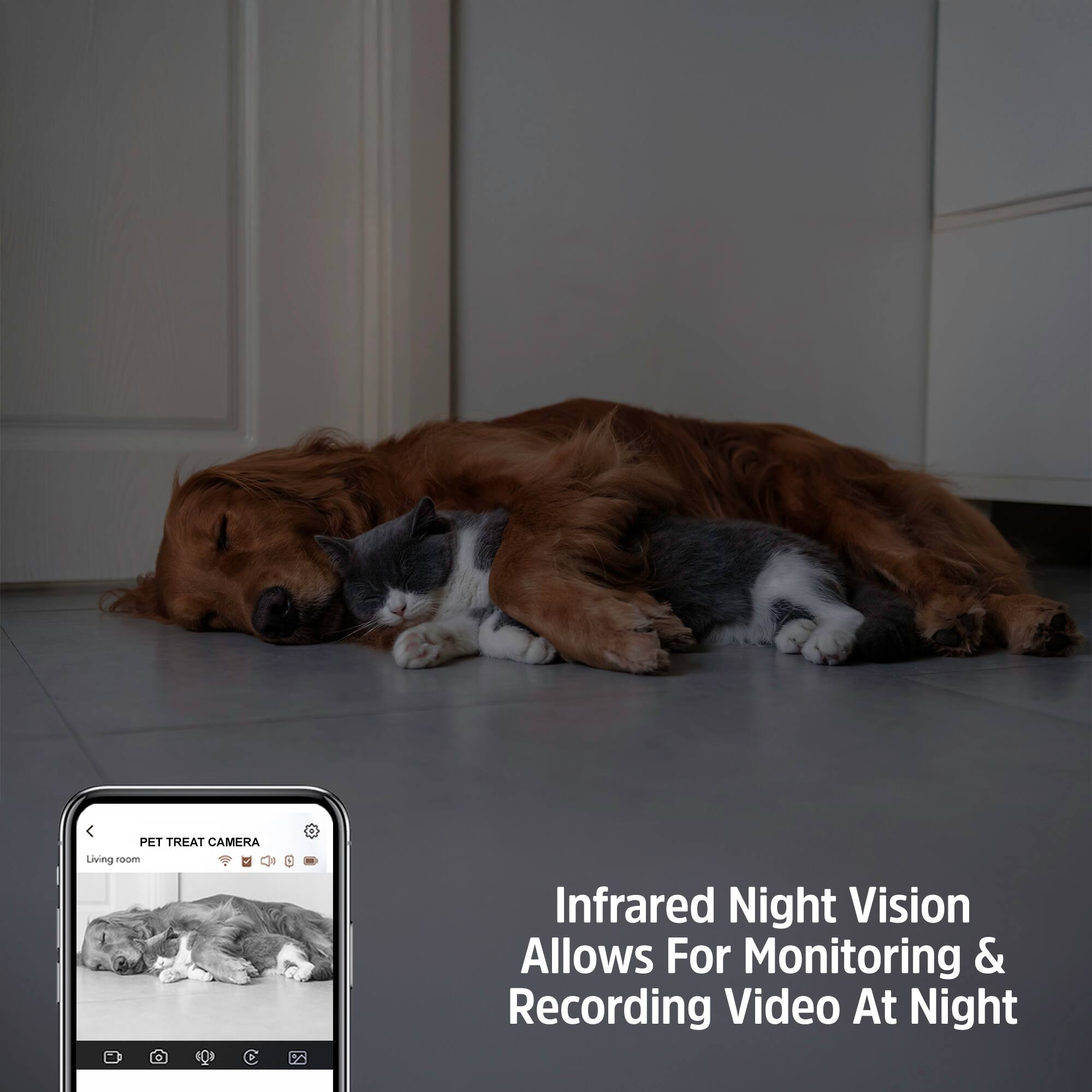 PET TREAT CAMERA  
Living Room  
Infrared Night Vision Allows For Monitoring & Recording Video At Night