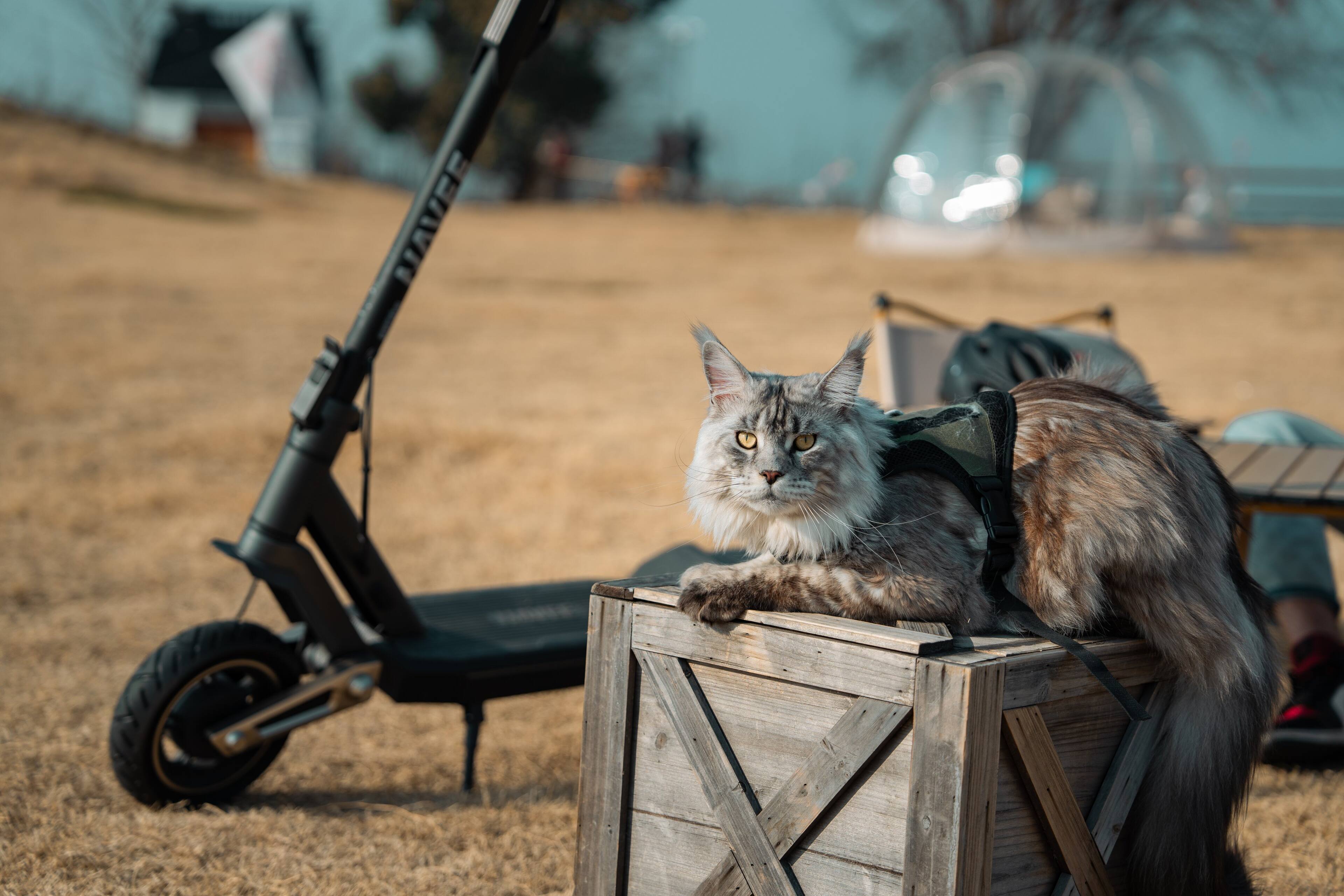 Alt View 15. NAVEE - ST3 Electric Scooter w/37.3 miles Max Operating Range & 24.9 mph Max Speed - Black.