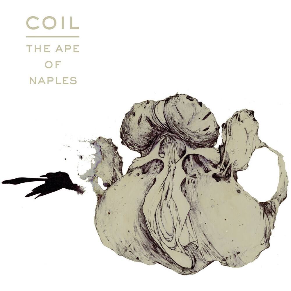 Front. The Ape of Naples [LP].