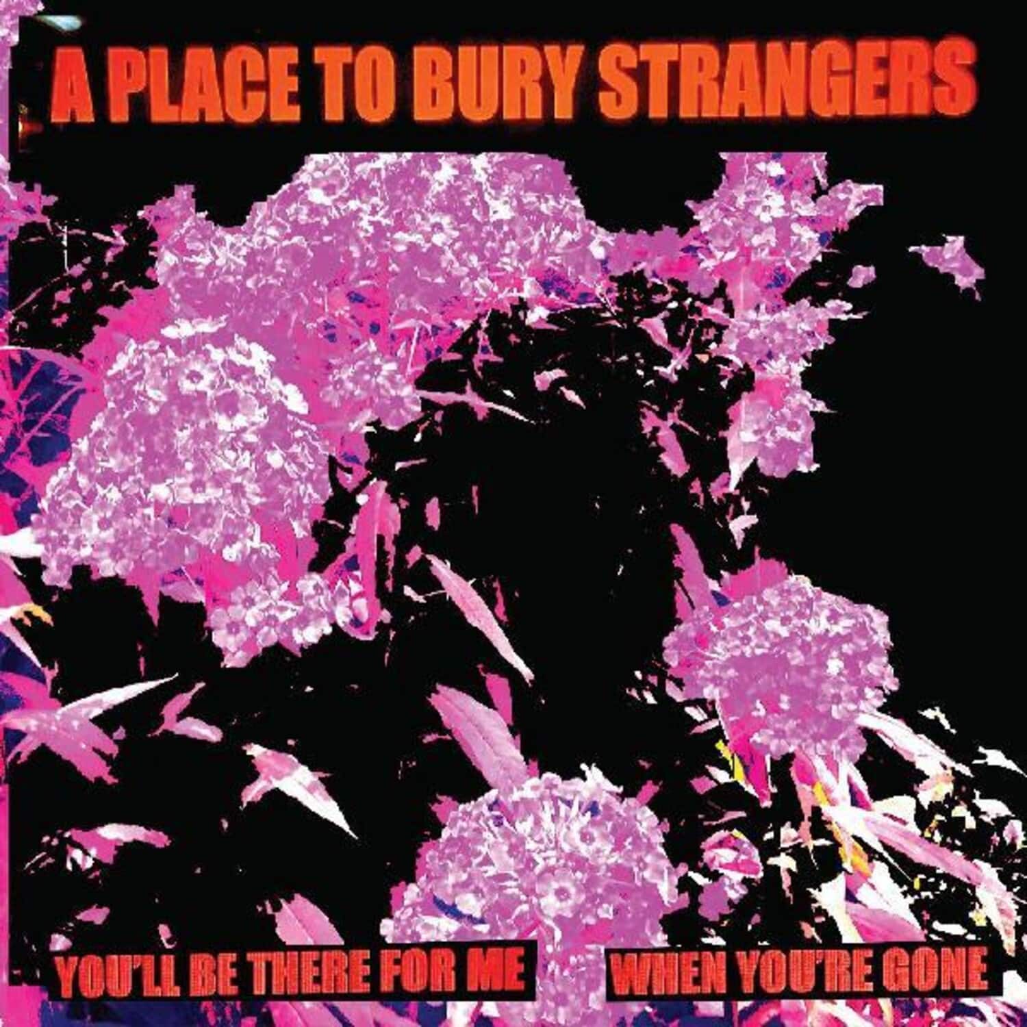 Place to Bury Strangers - You'll Be There For Me / When You're Gone   - 7-INCH SINGLE [7 inch Vinyl Disc] price history on PriceWatchPro