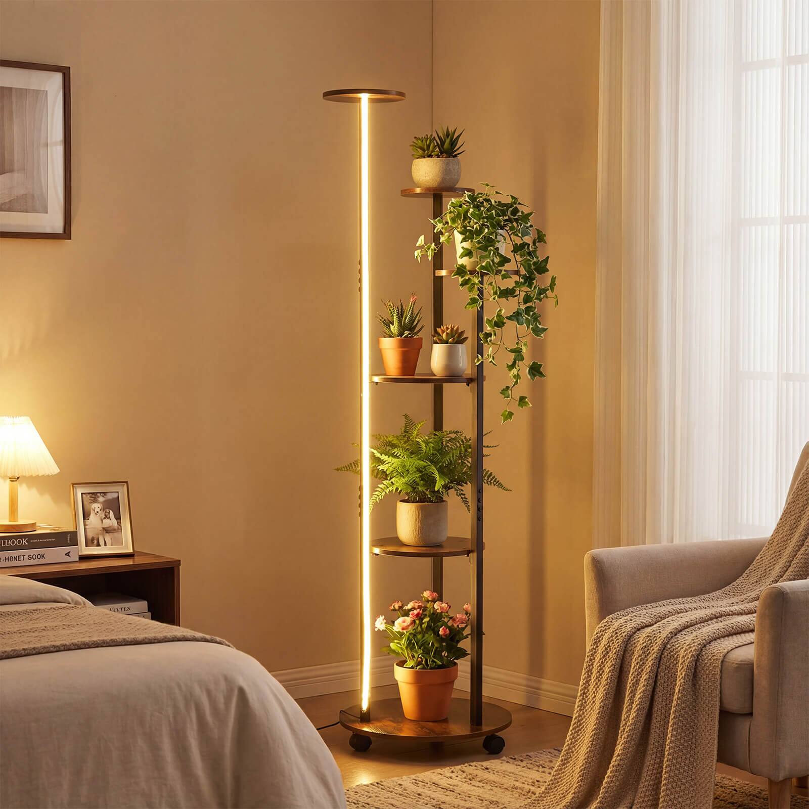 LOOK MENET BOOK < TL