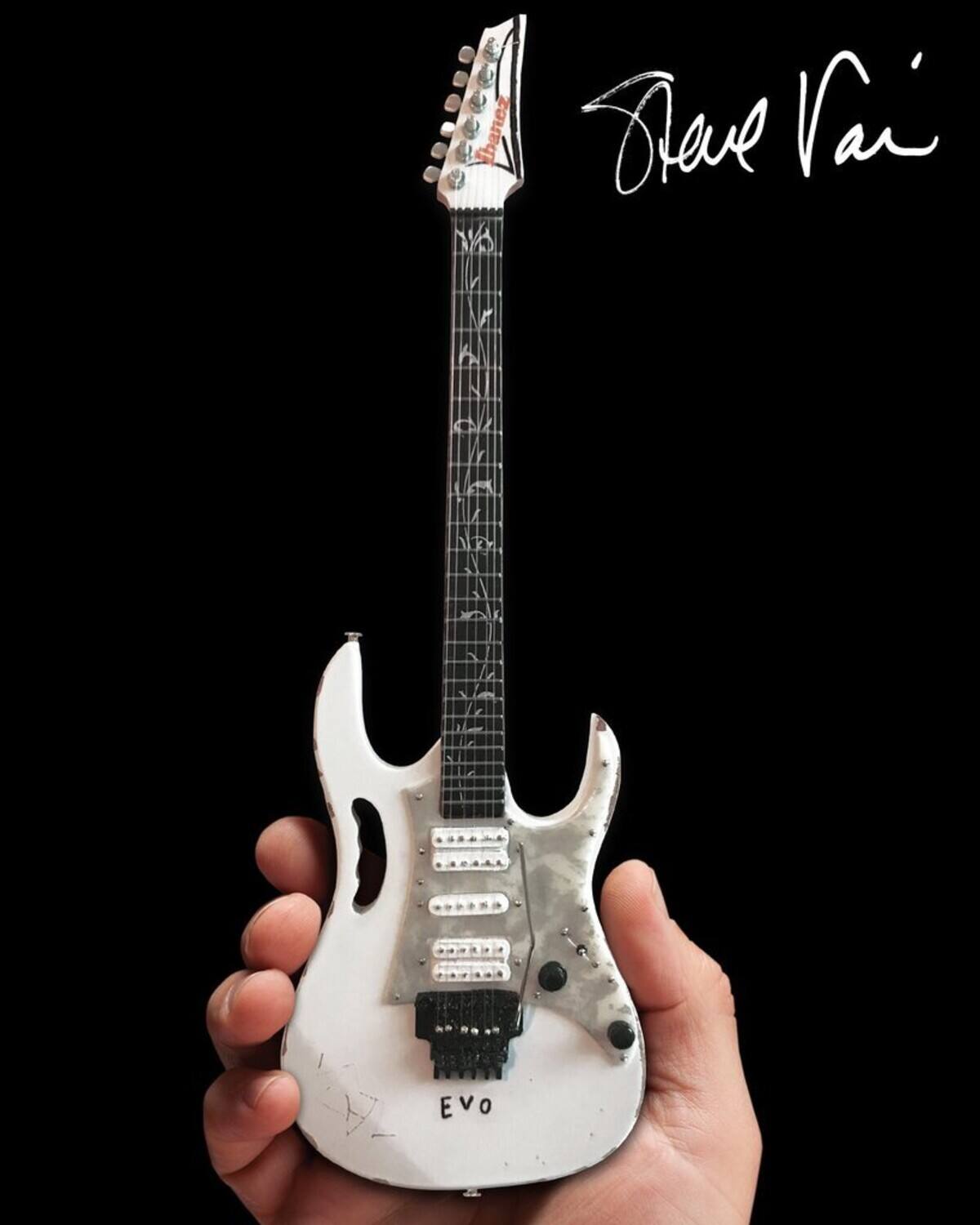 Ibanez Rleve Vai EVO

Steve Vai