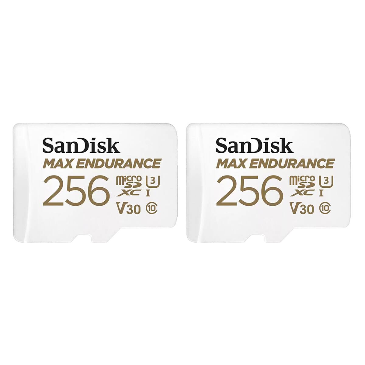 SanDisk MAX ENDURANCE microSDXC I V30 C