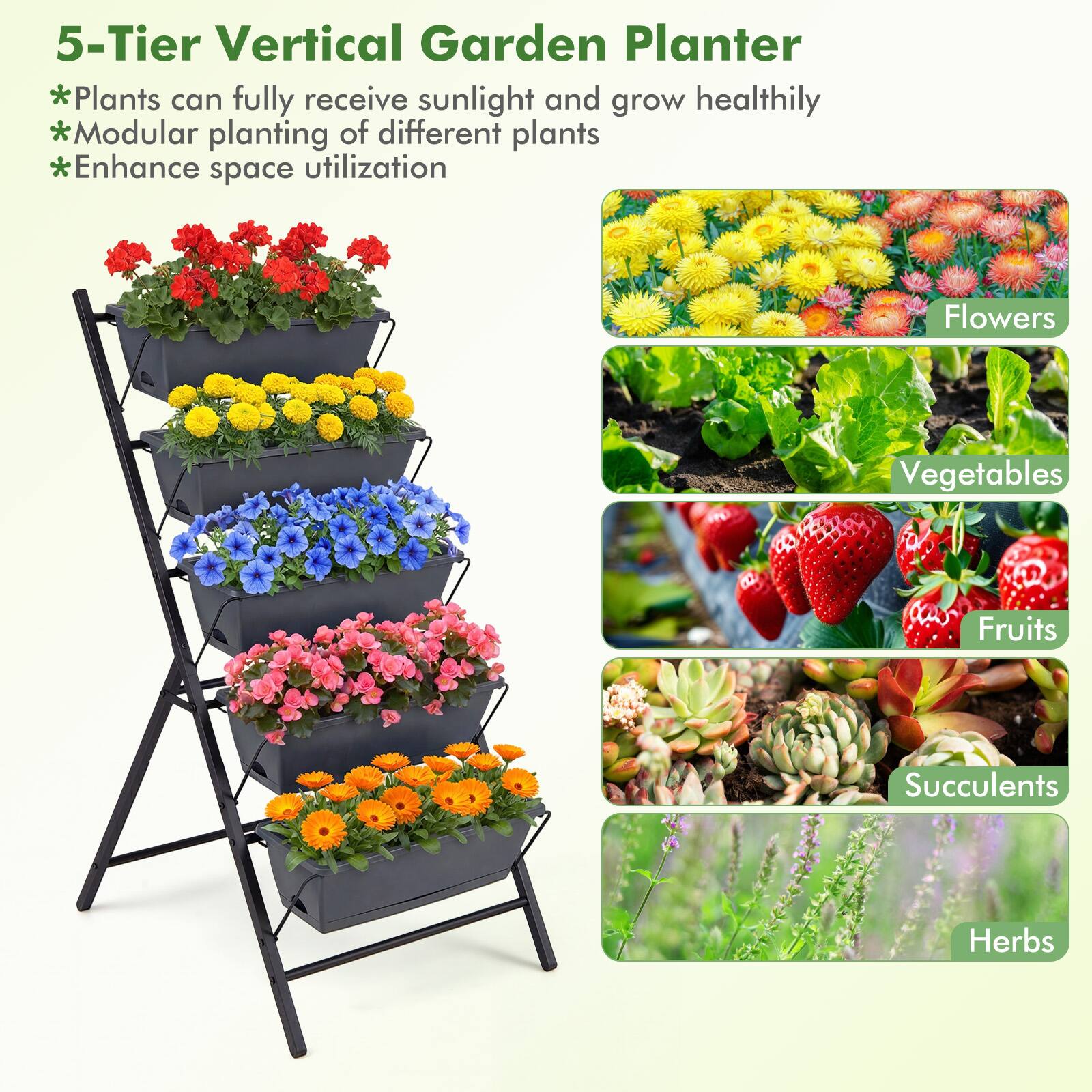 5-Tier Vertical Garden Planter

*Plants can fully receive sunlight and grow healthily  
*Modular planting of different plants  
*Enhance space utilization  

Flowers  
Vegetables  
Fruits  
Succulents  
Herbs