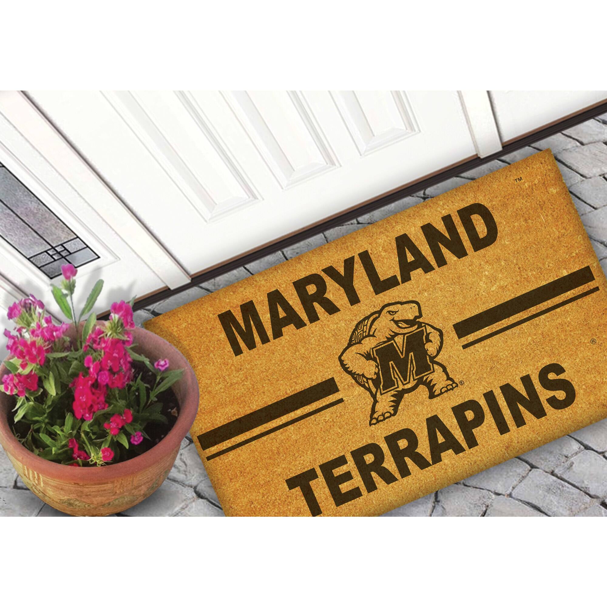 MARYLAND  
TERRAPINS