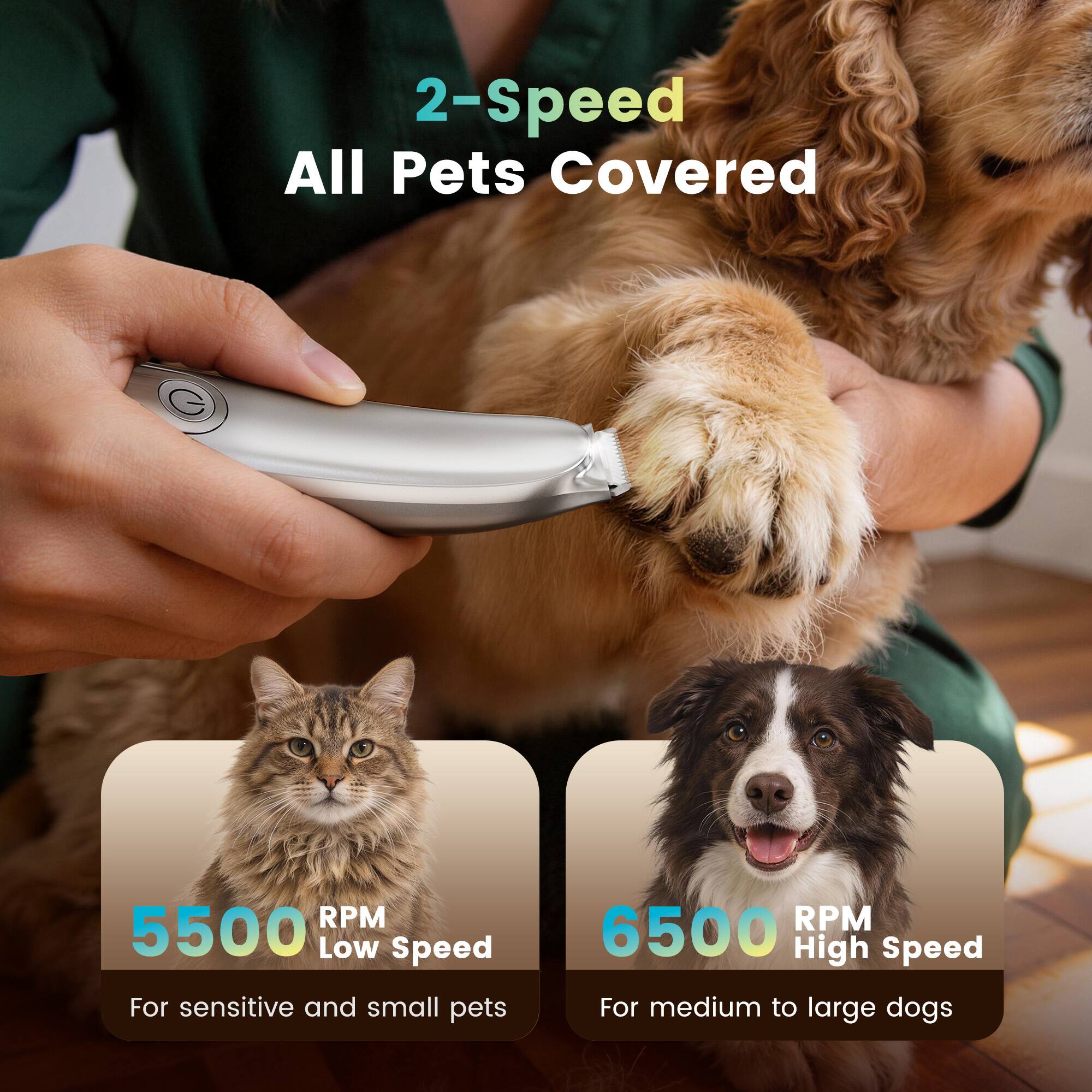 2-Speed All Pets Covered

5500 RPM Low Speed
For sensitive and small pets

6500 RPM High Speed
For medium to large dogs