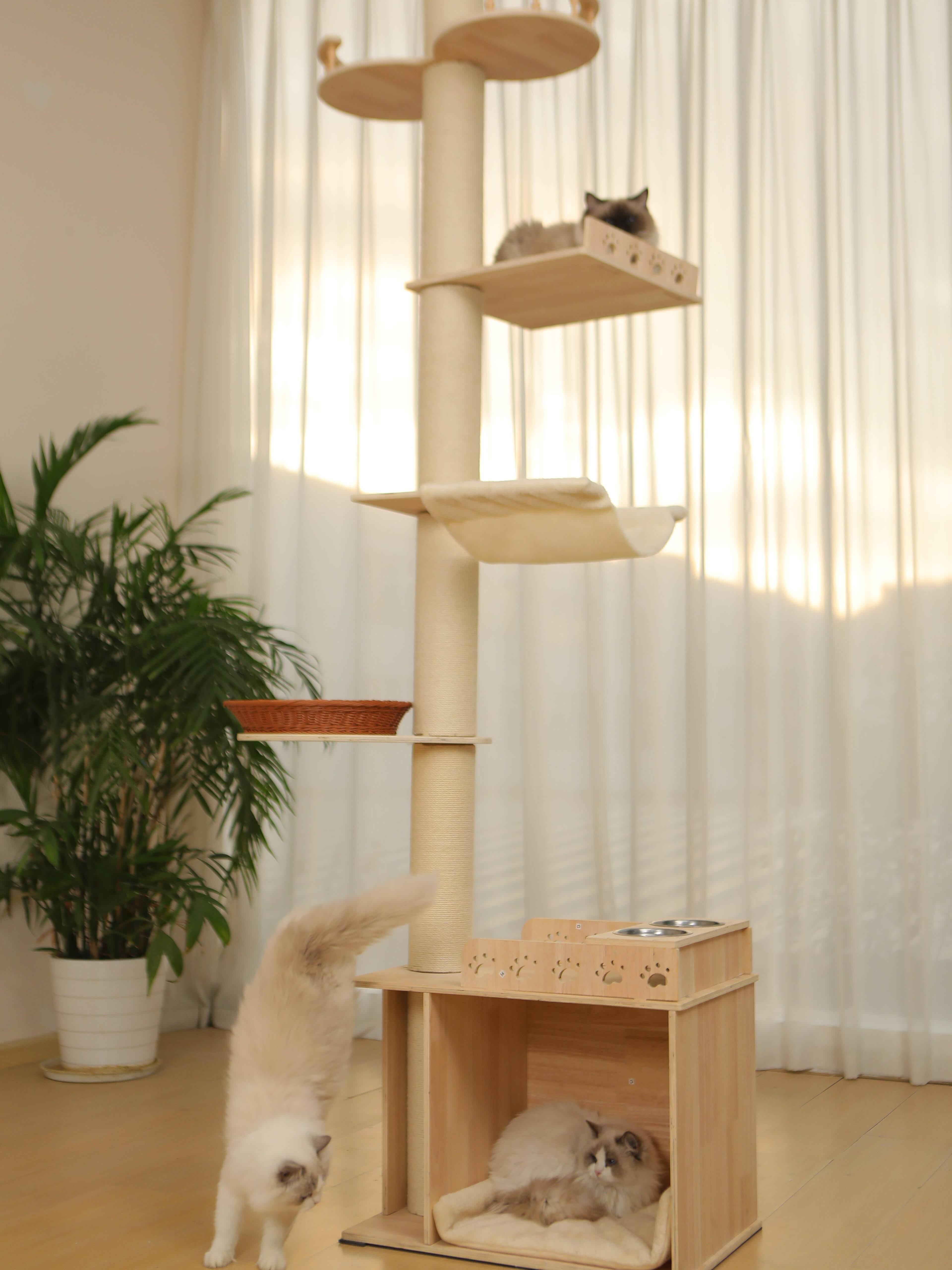 Left. JUJABU - 5-Tier Adjustable Cat Tree Tower – Hemp Scratching Post, Perches, Sturdy Indoor/Outdoor Activity Center.