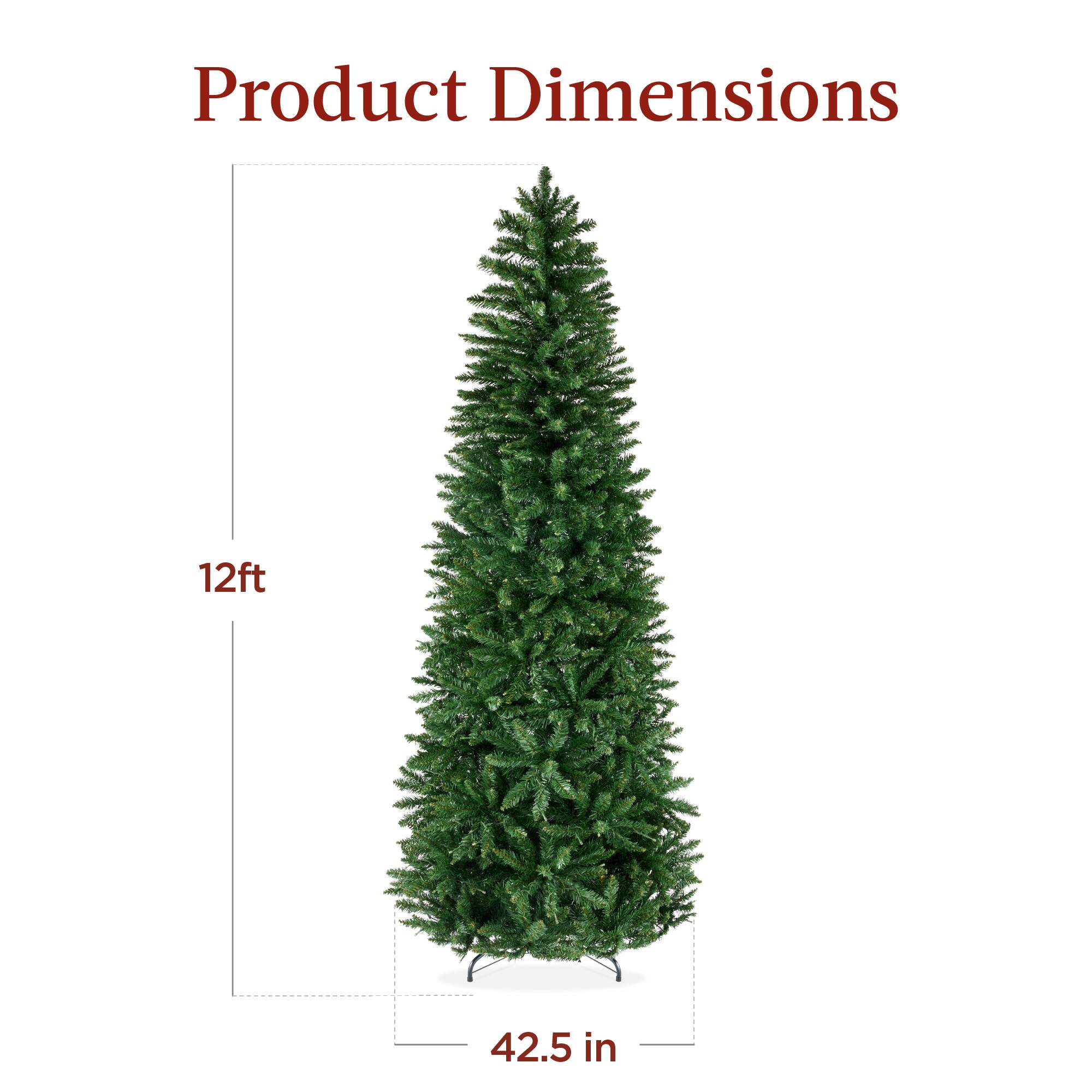 Product Dimensions

12ft

42.5 in