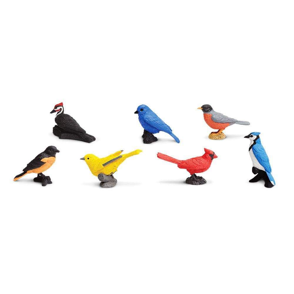 Back. Safari Ltd. - Backyard Birds Toob Toy.