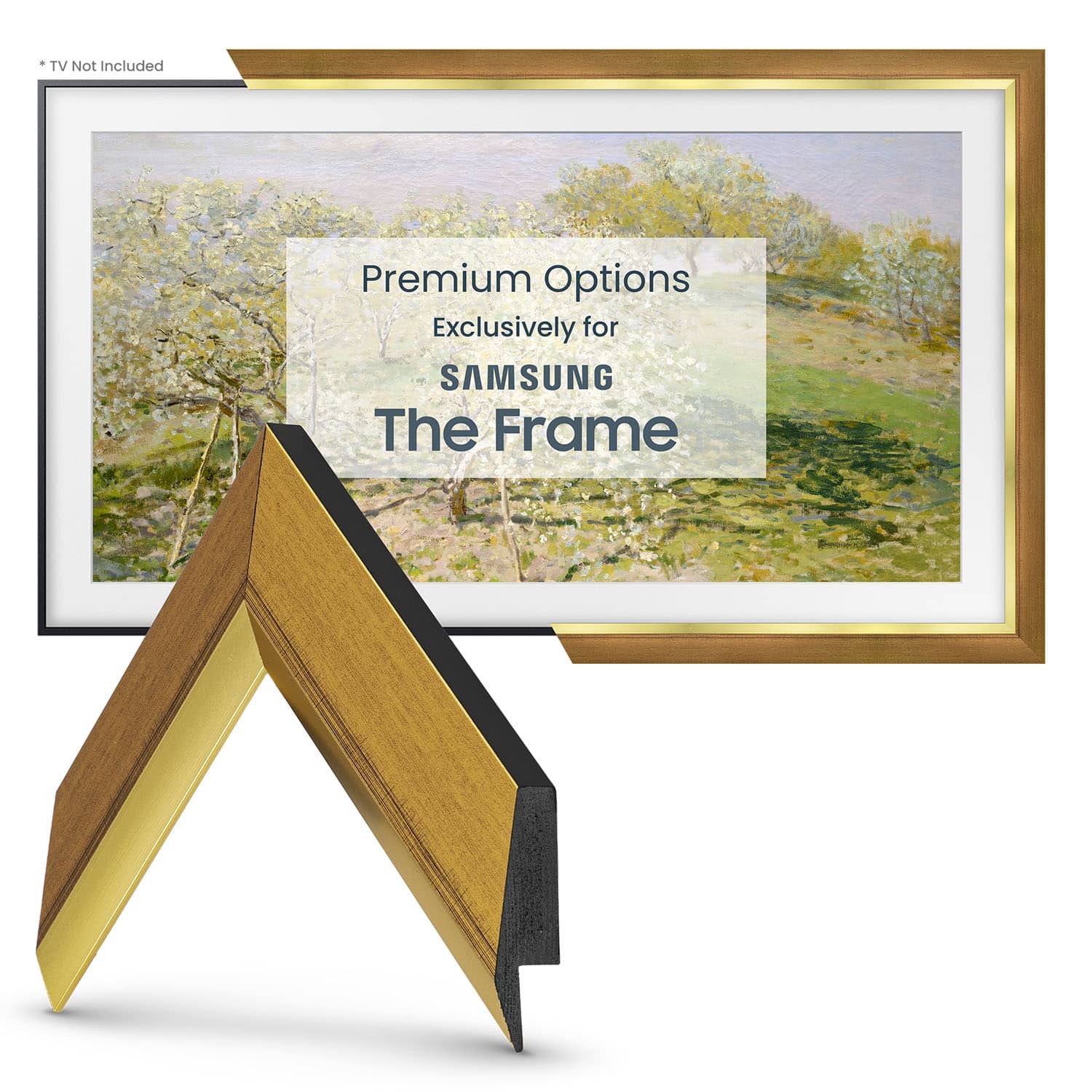 Premium Options Exclusively for SAMSUNG The Frame