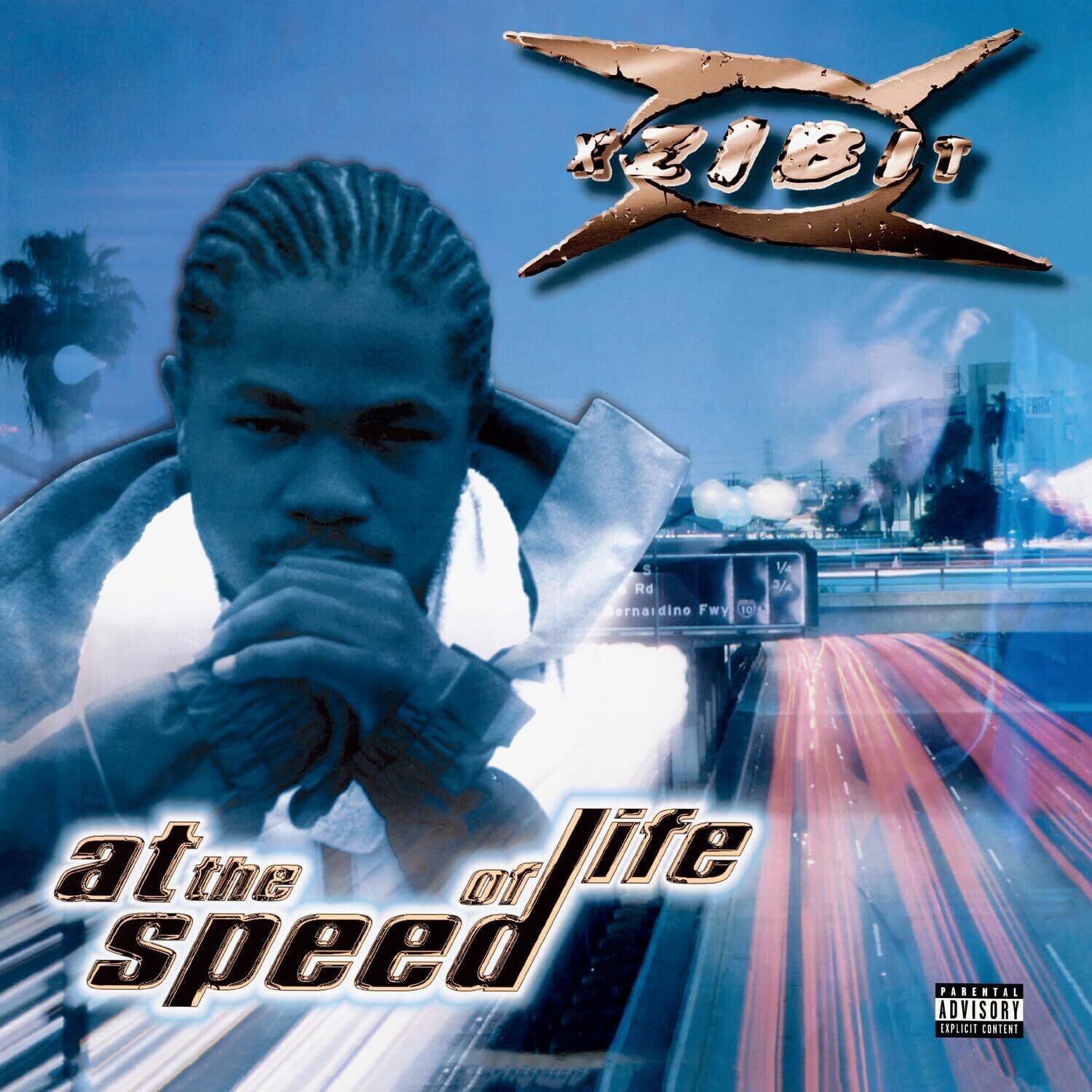 Xzibit - At The Speed Of Life   - VINYL LP price history on PriceWatchPro