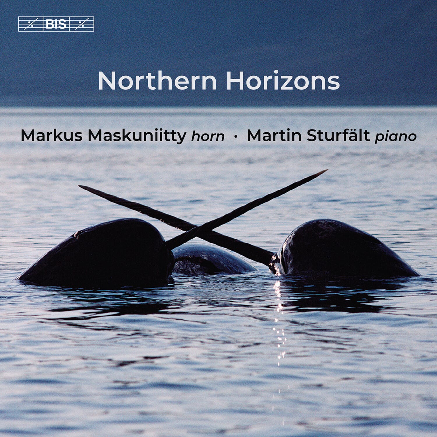 Markus Maskuniitty - Northern Horizons   - SUPER-AUDIO CD [Super Audio CD (SACD)]