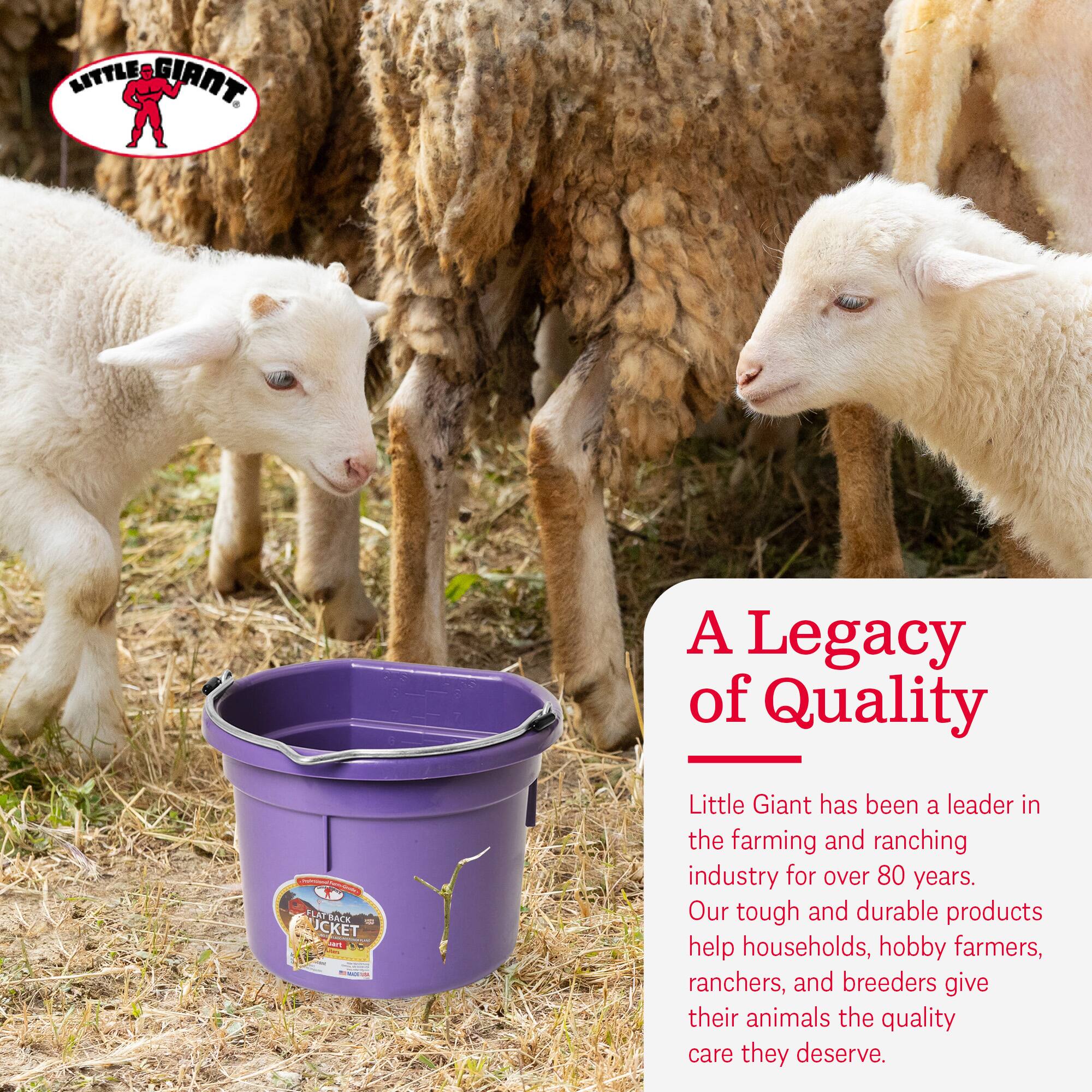 LITTLE GIANT  
A Legacy of Quality  

Little Giant has been a leader in the farming and ranching industry for over 80 years. Our tough and durable products help households, hobby farmers, ranchers, and breeders give their animals the quality care they deserve.