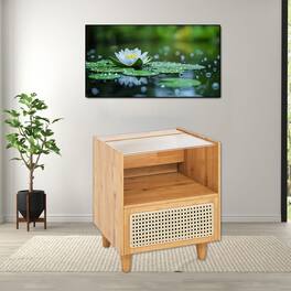 Hivvago - Bamboo-Inspired Bedside Cabinet with Woven Rattan Front and Wooden Support - Natural