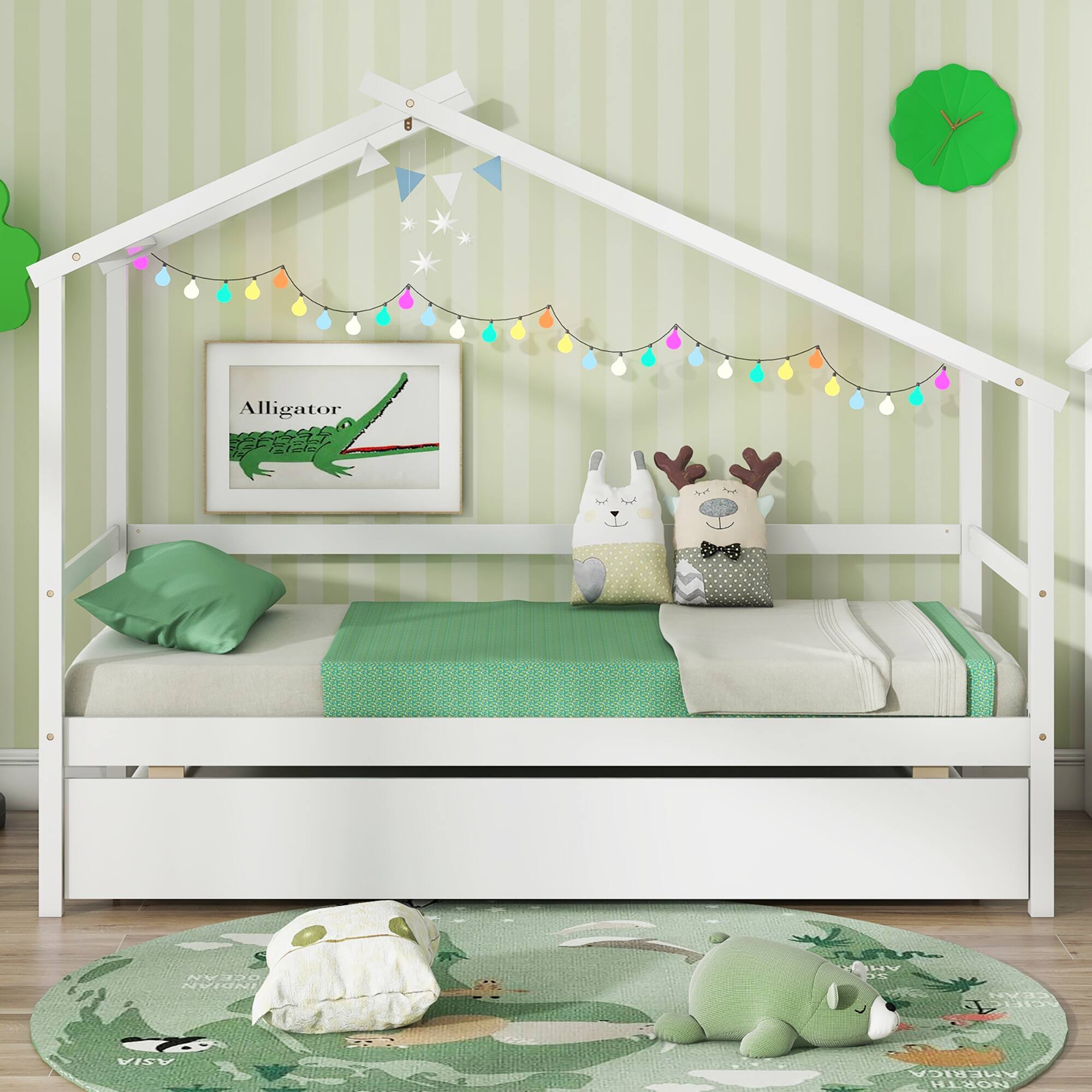 Alligator
Sng
NVIONI
HY
4
ASIA
AMERICA
NORTH