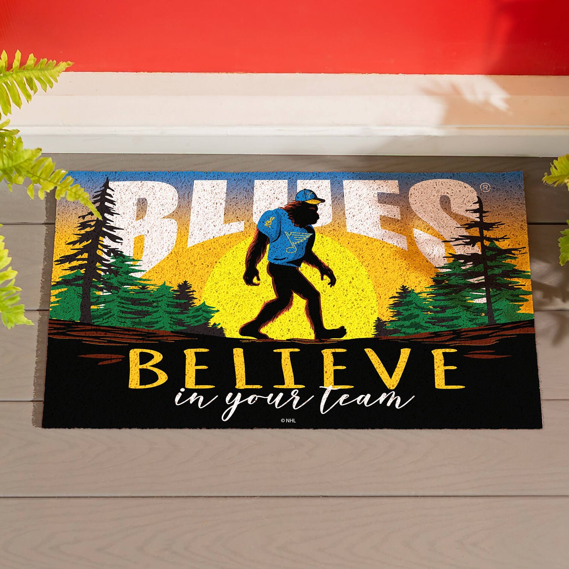 BLUES  
BELIEVE in your team  
NHL