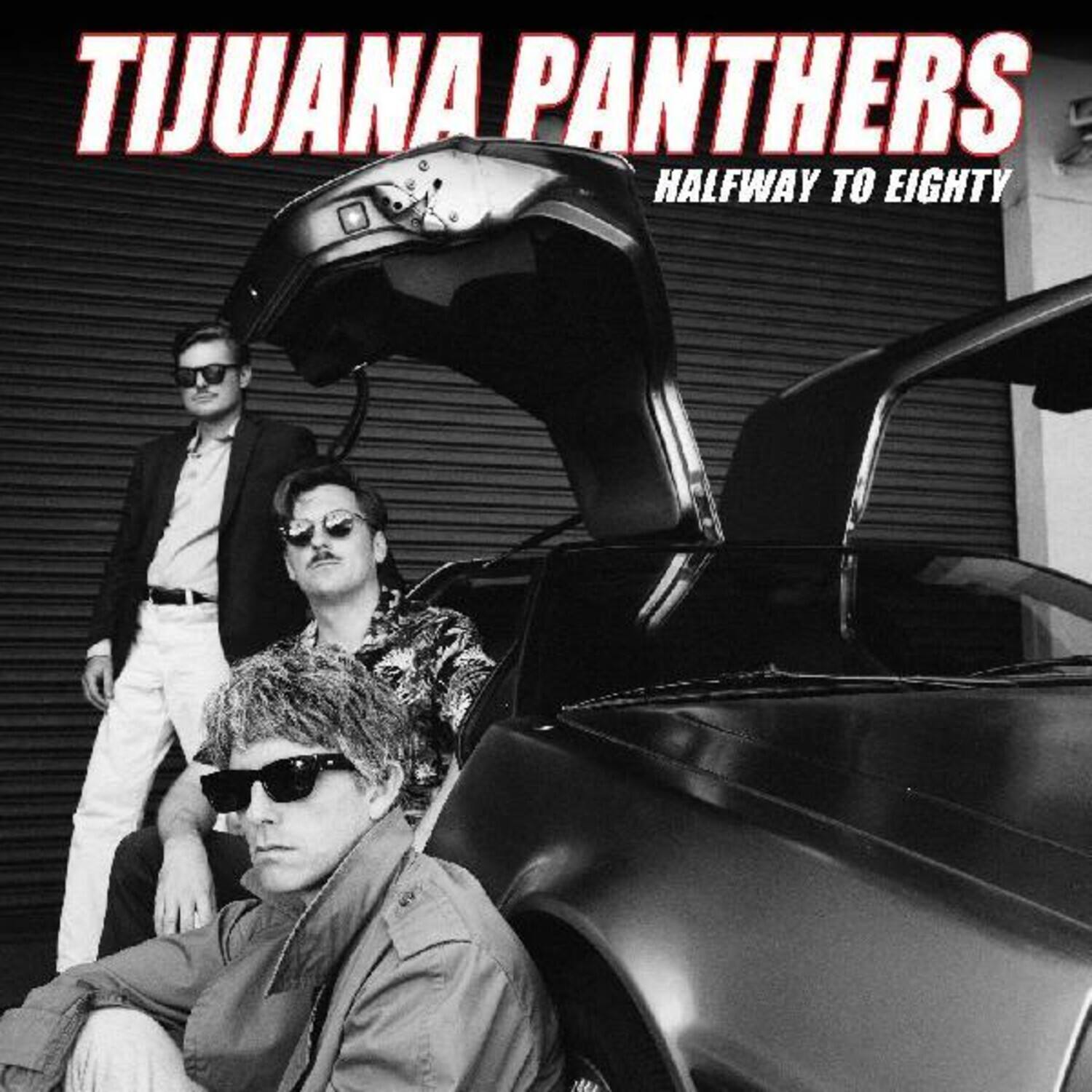 Tijuana Panthers - Halfway To Eighty   - VINYL LP price history on PriceWatchPro