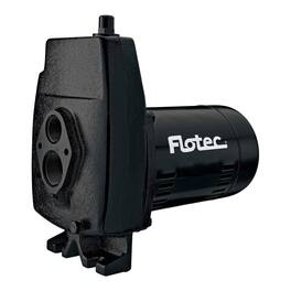 Pentair - Flotec 1/2 HP Cast Iron Convertible Jet Pump Tackles Water Depths of Up To 100' - Black