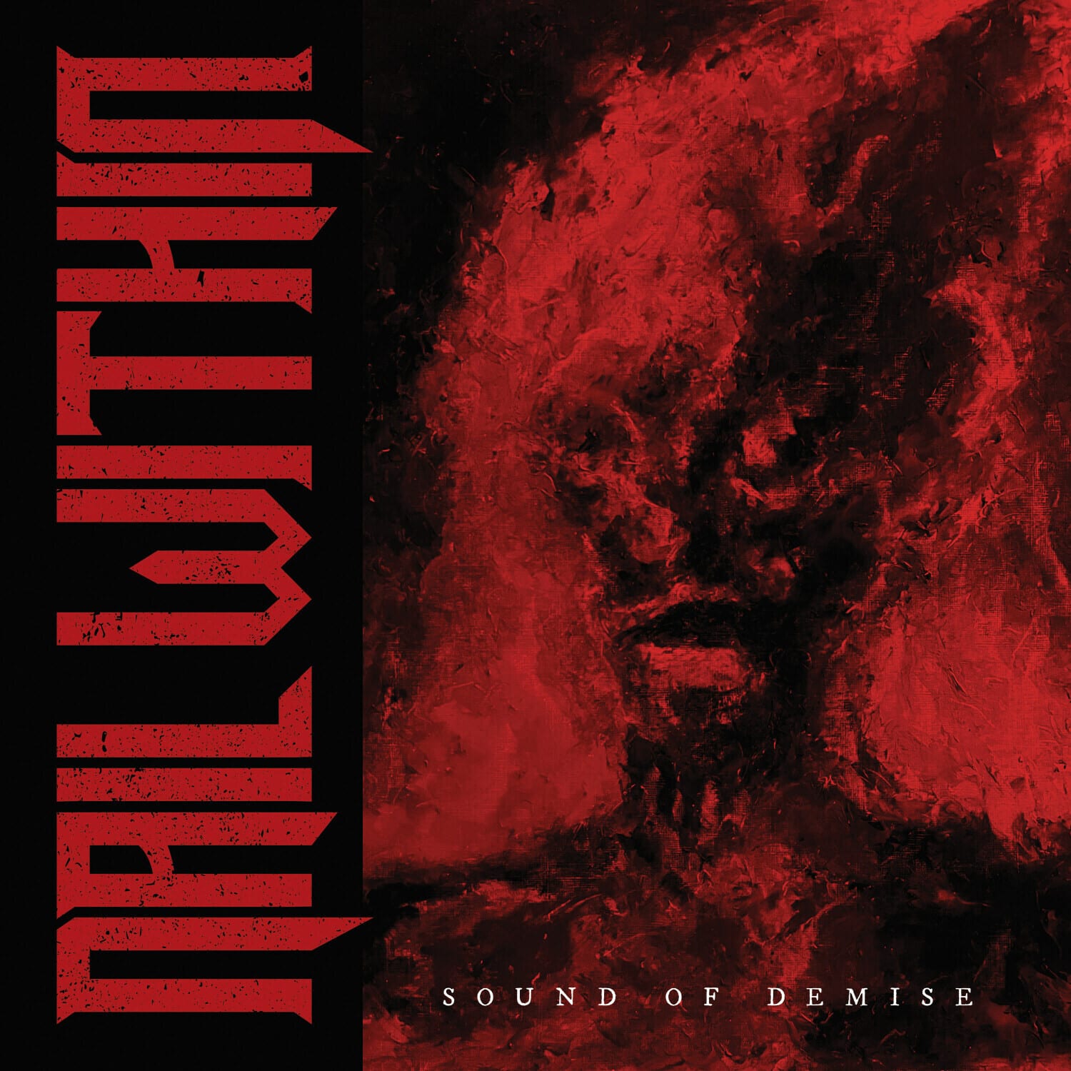 Nail Within - Sound Of Demise  - COMPACT DISCS