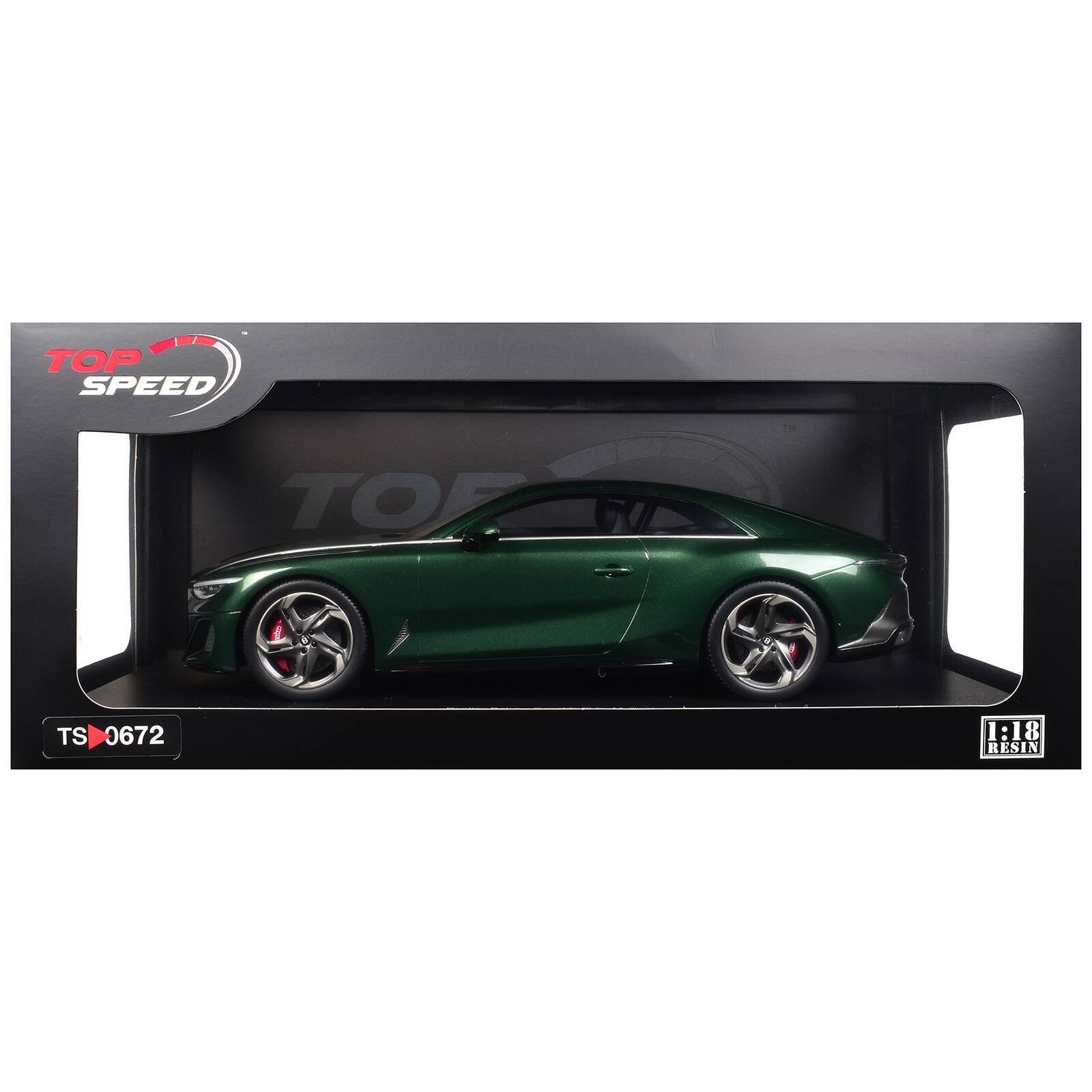 TOP SPEED  
TS 0672  
1:18 RESIN