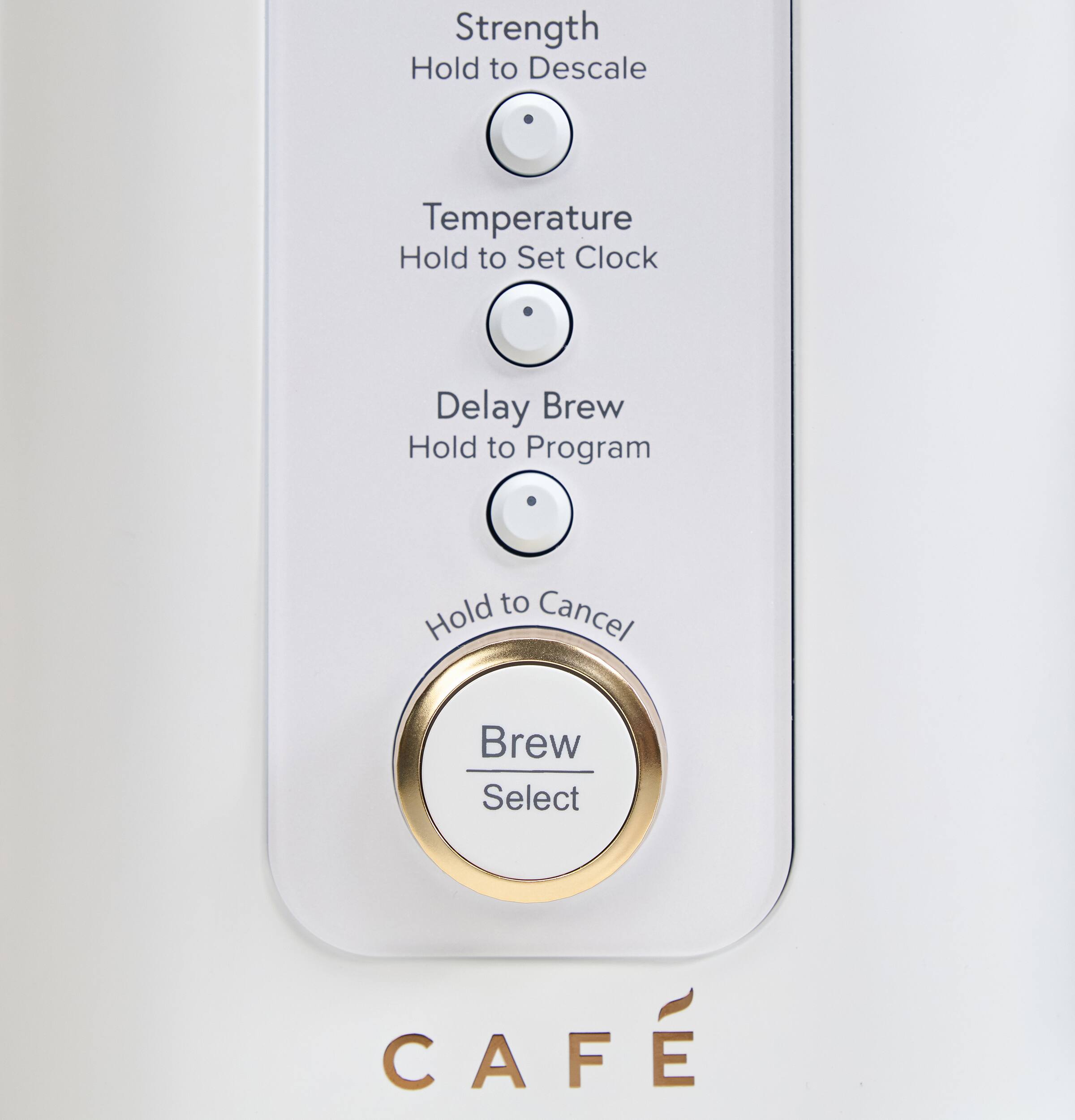 Strength  
Hold to Descale  

Temperature  
Hold to Set Clock  

Delay Brew  
Hold to Program  

Hold to Cancel  

Brew Select  

CAFÉ