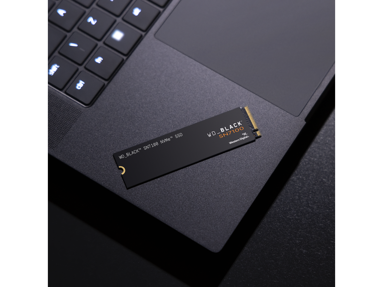 - Shift Ctrl SSD NVMe SN7100 WD_BLACK WD_BLACK WD
- 132 WesternDigital WesternDigital